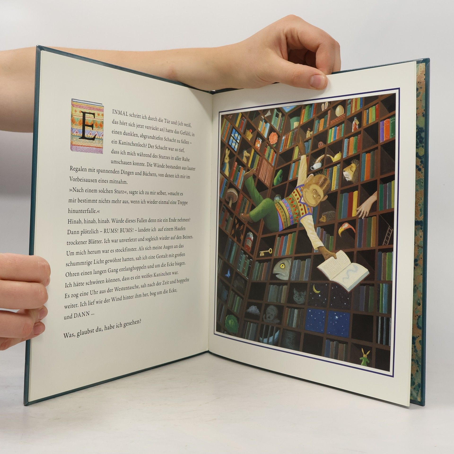 Anthony Browne Abenteuer mit Willi