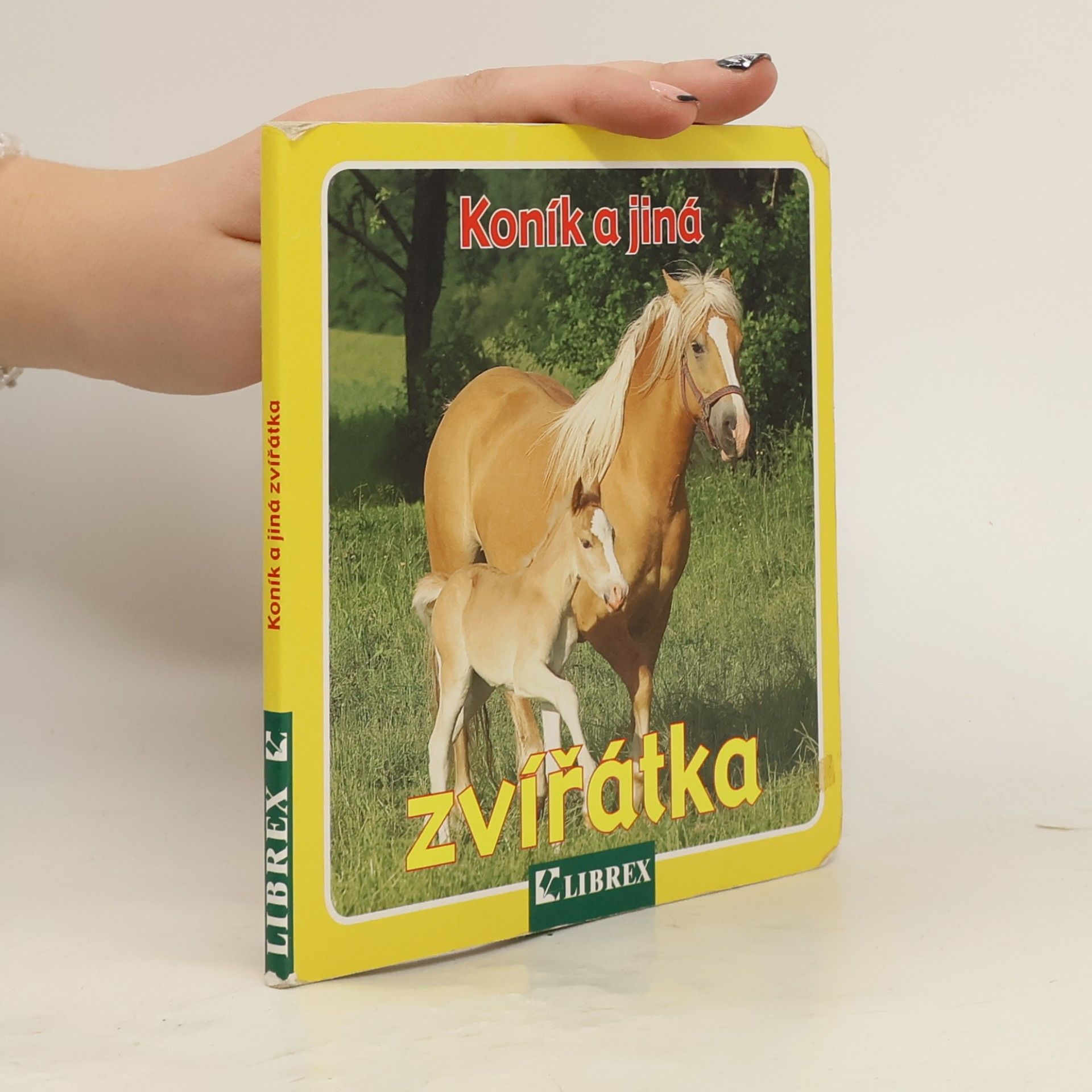 Wolfgang Schleicher Koník a jiná zvířátka