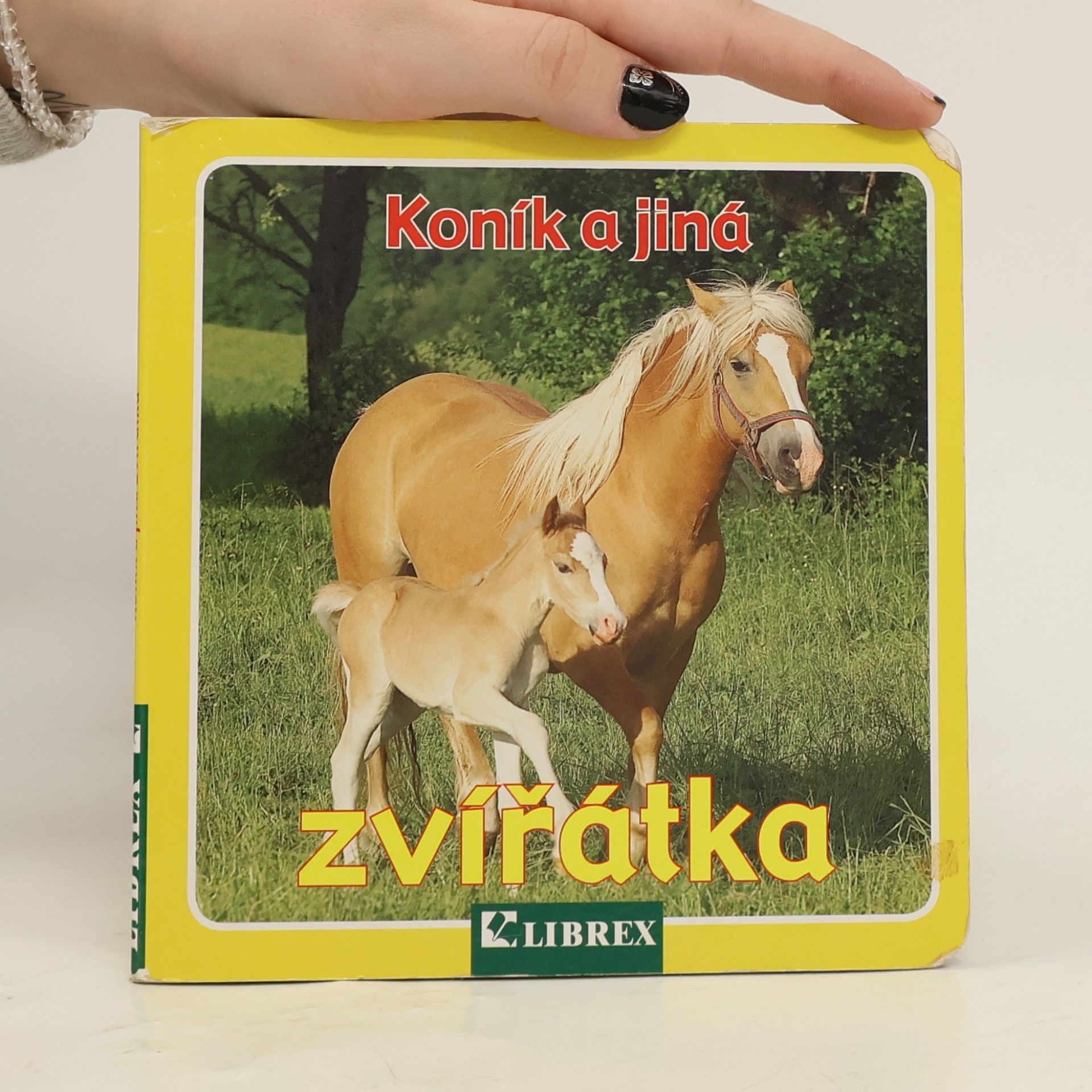 Wolfgang Schleicher Koník a jiná zvířátka