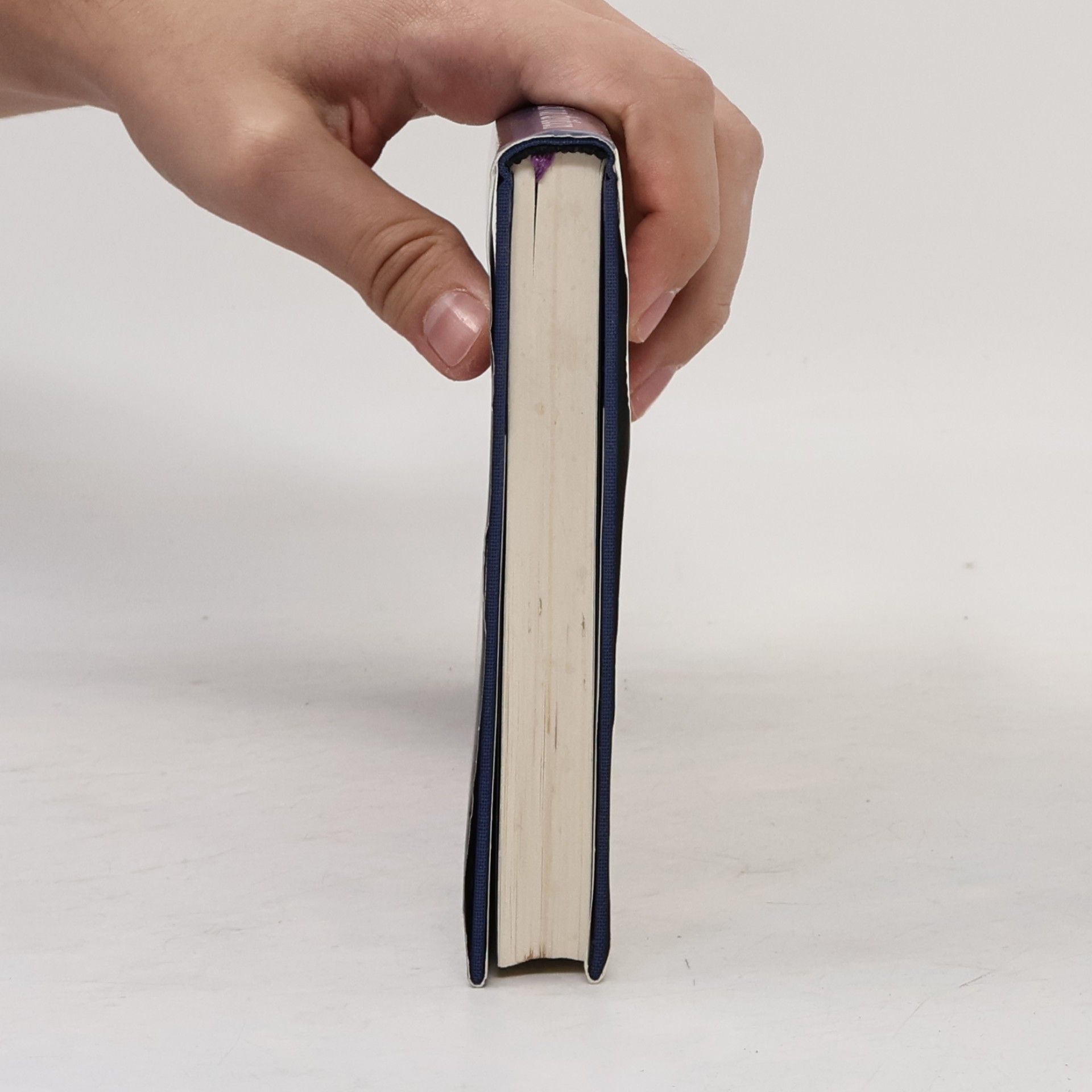 T. E. Lawrence T.E. Lawrence Tagebuch von drüben