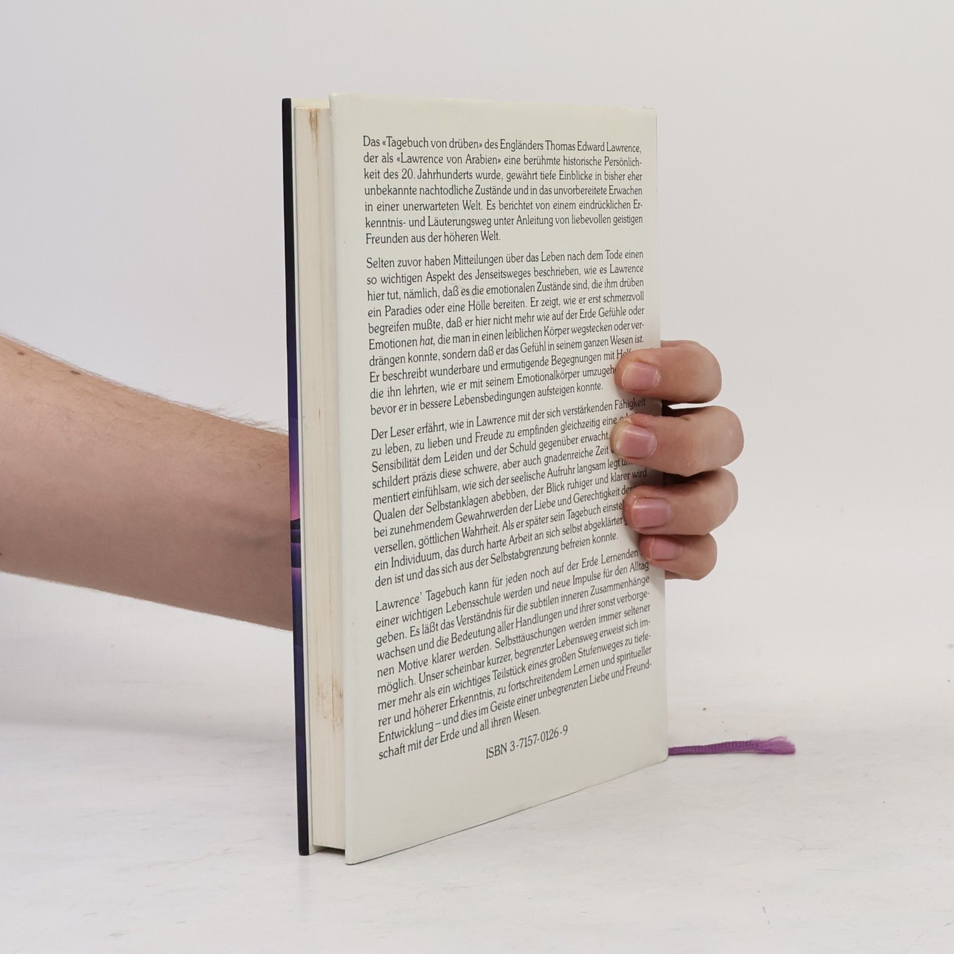 T. E. Lawrence T.E. Lawrence Tagebuch von drüben