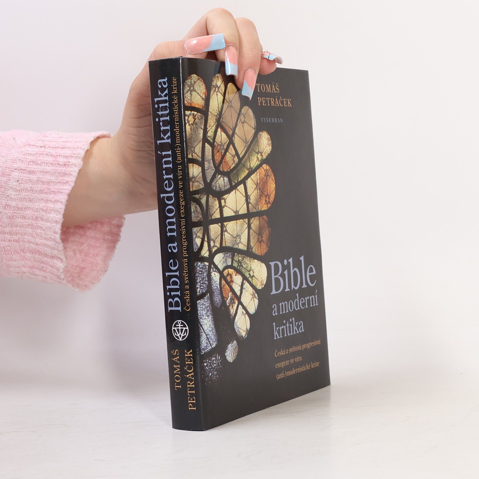Tomáš Petráček Bible a moderní kritika