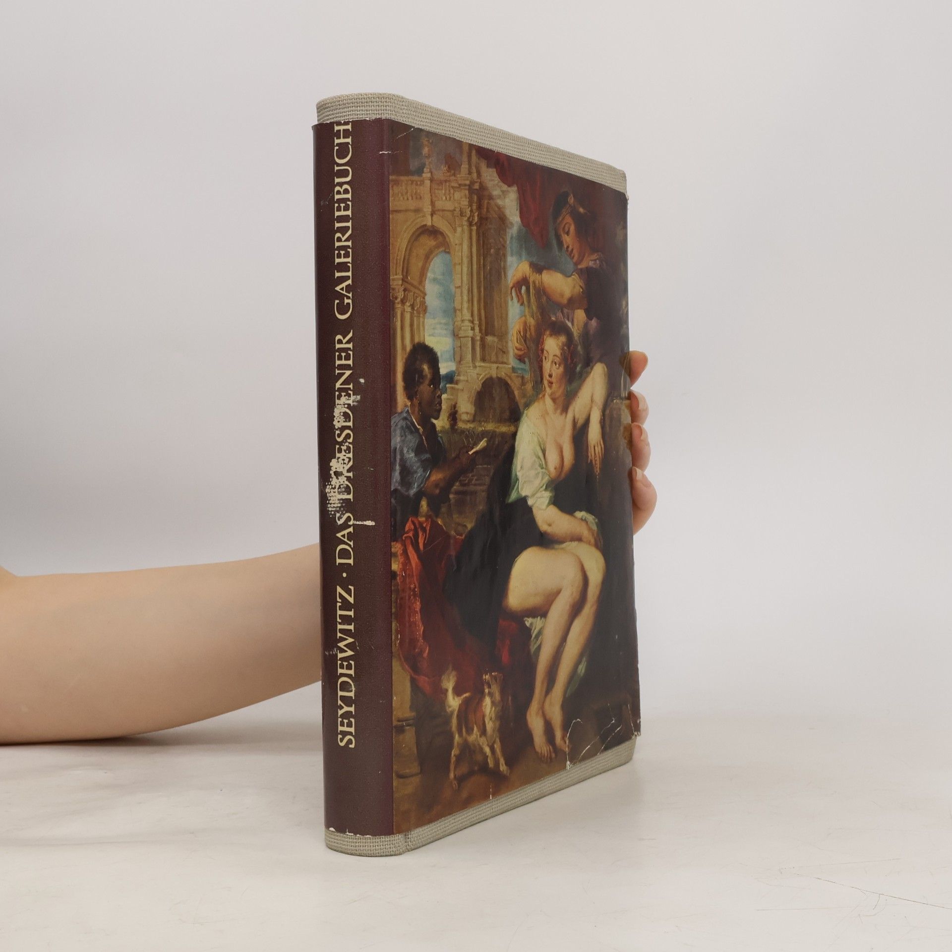Das Dresdener Galeriebuch