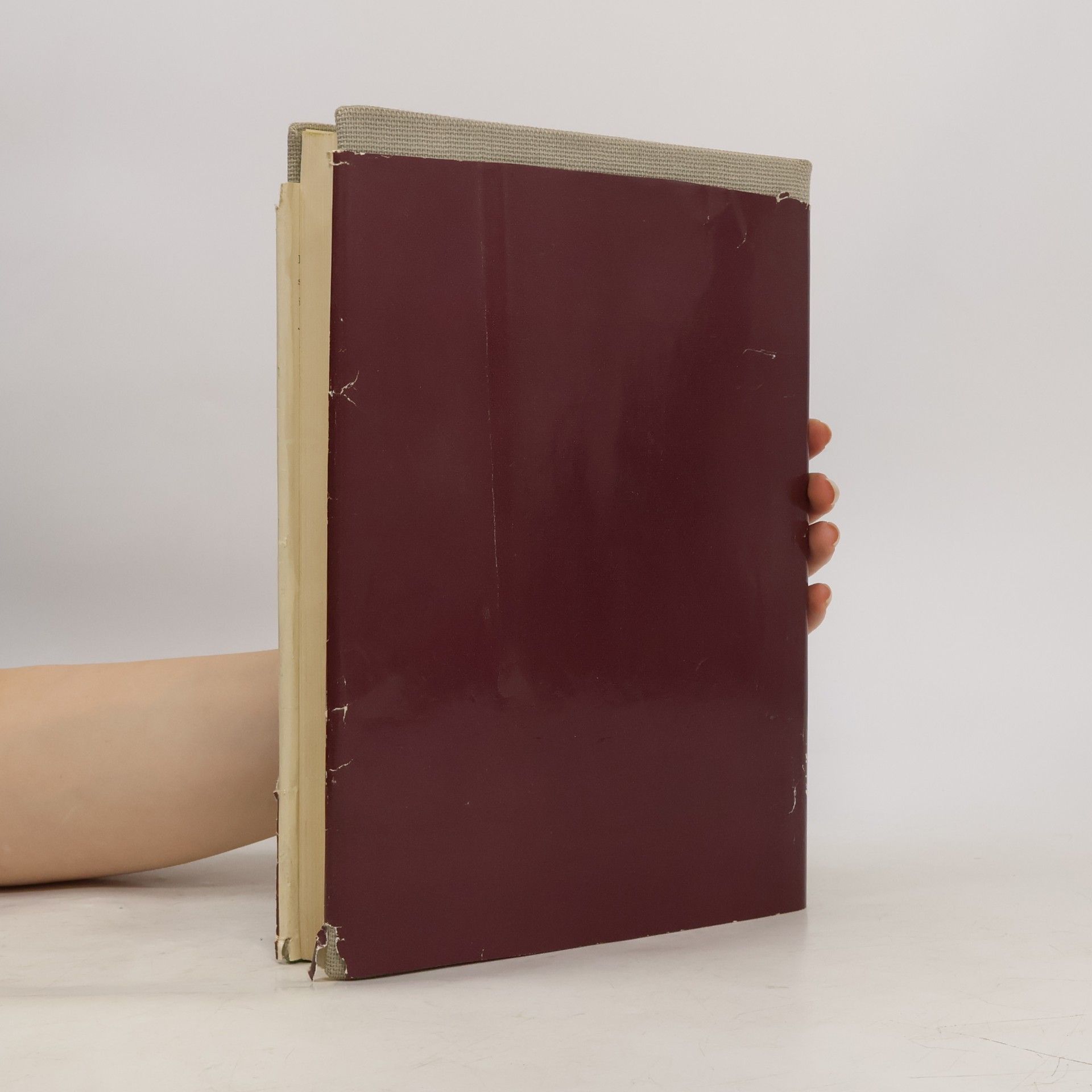 Ruth Seydewitz Das Dresdener Galeriebuch