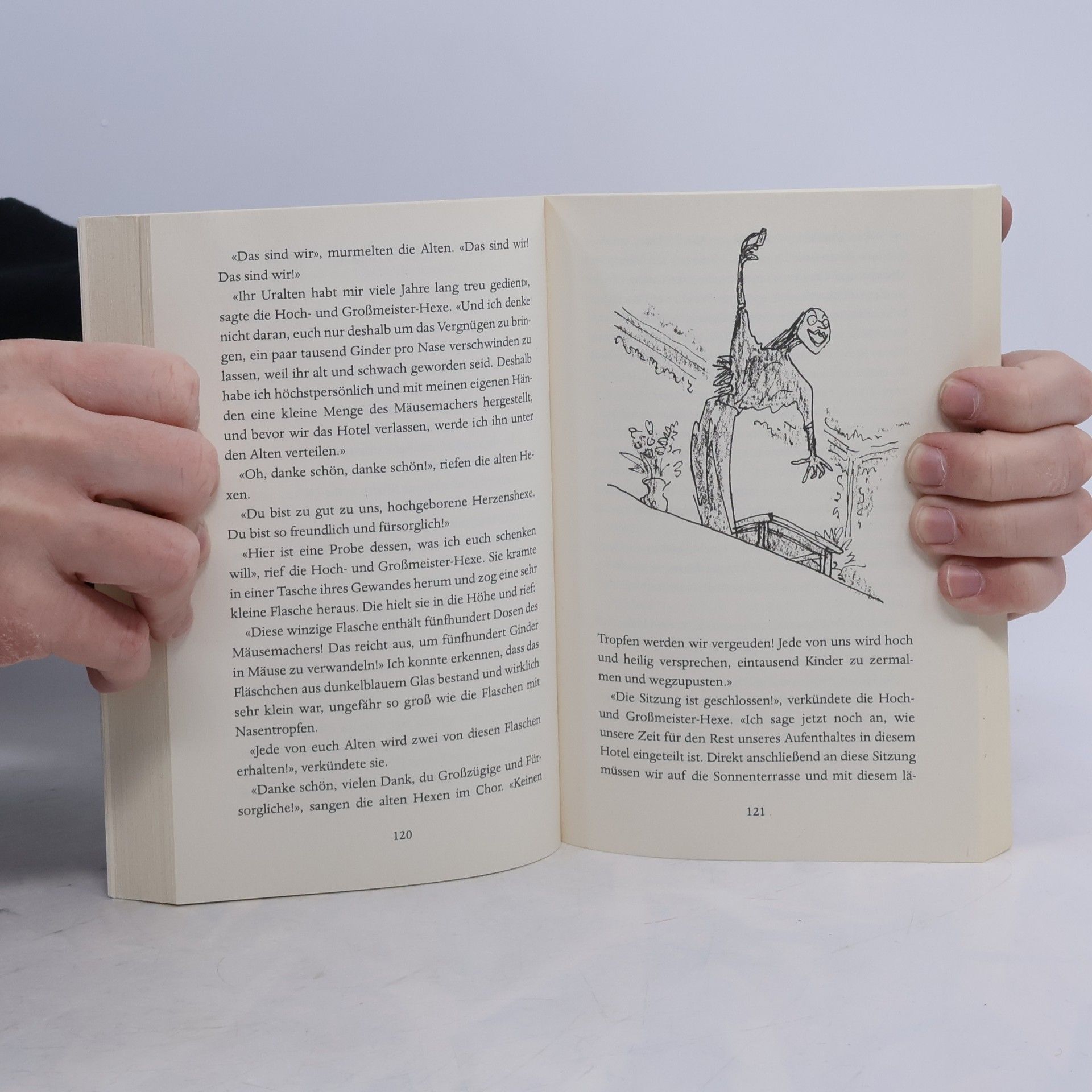 Roald Dahl Hexen hexen