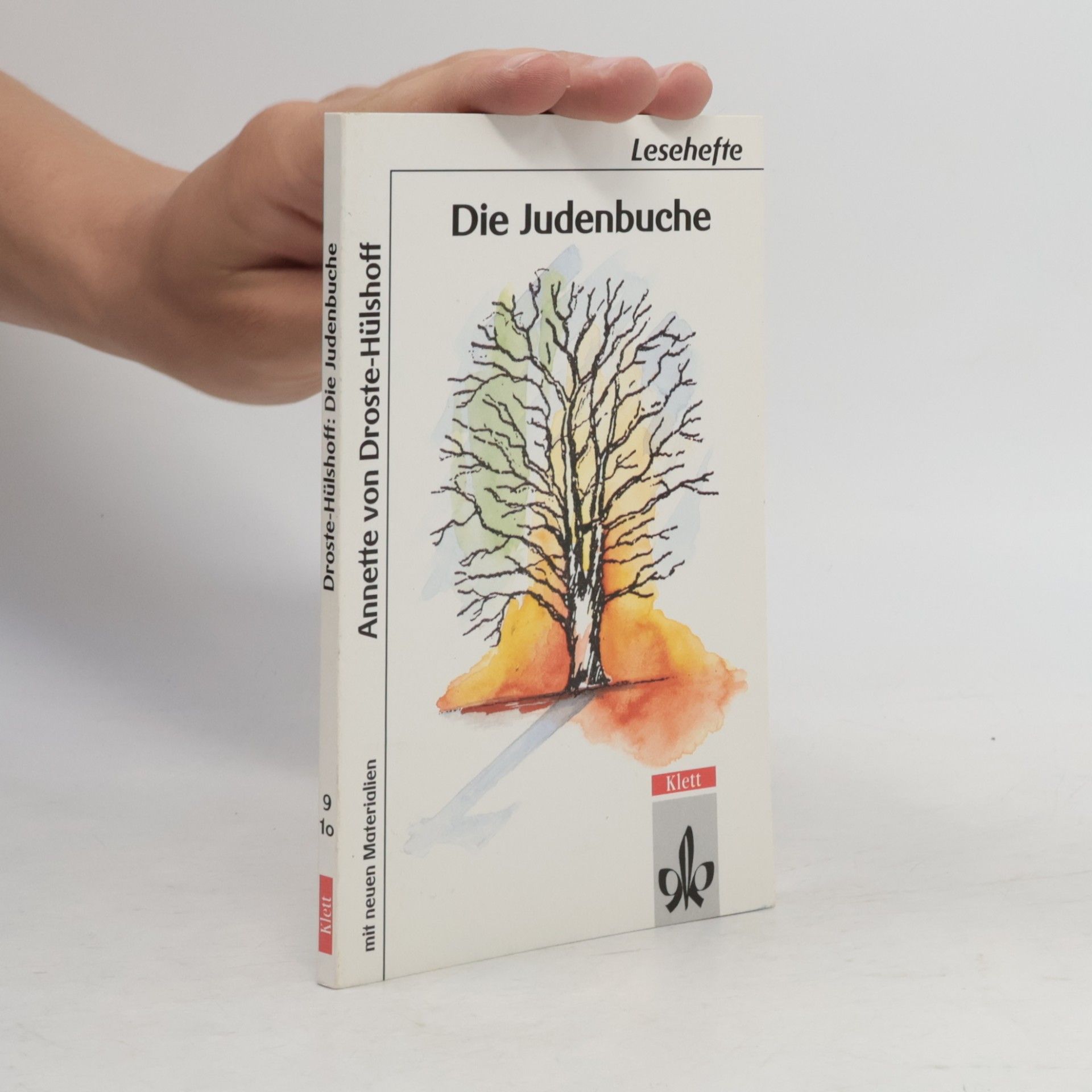 Karin Steiert Die Judenbuche