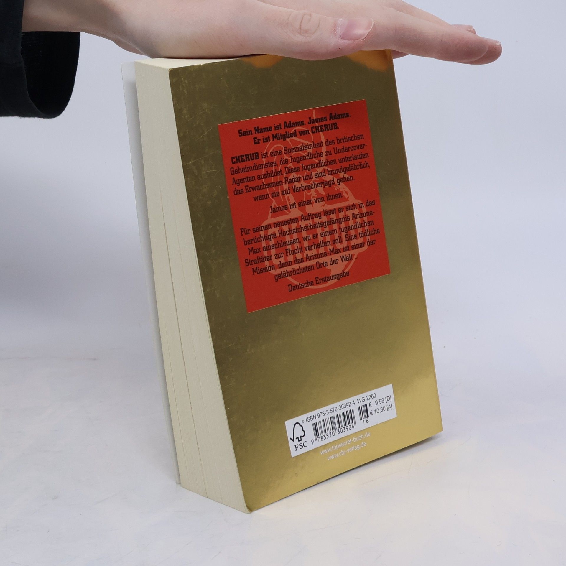 Robert Muchamore Top Secret 03. Der Ausbruch