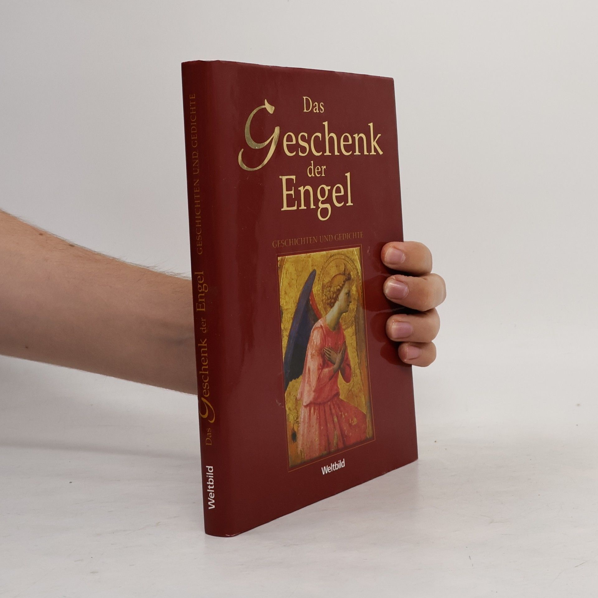 Julia Birkhäuser Das Geschenk der Engel