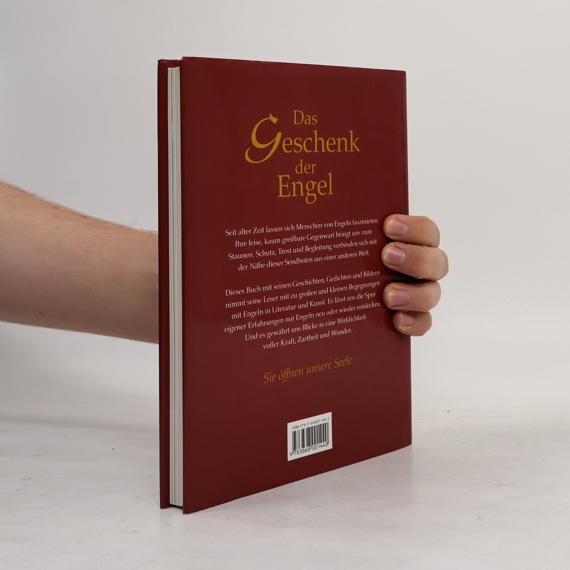 Julia Birkhäuser Das Geschenk der Engel