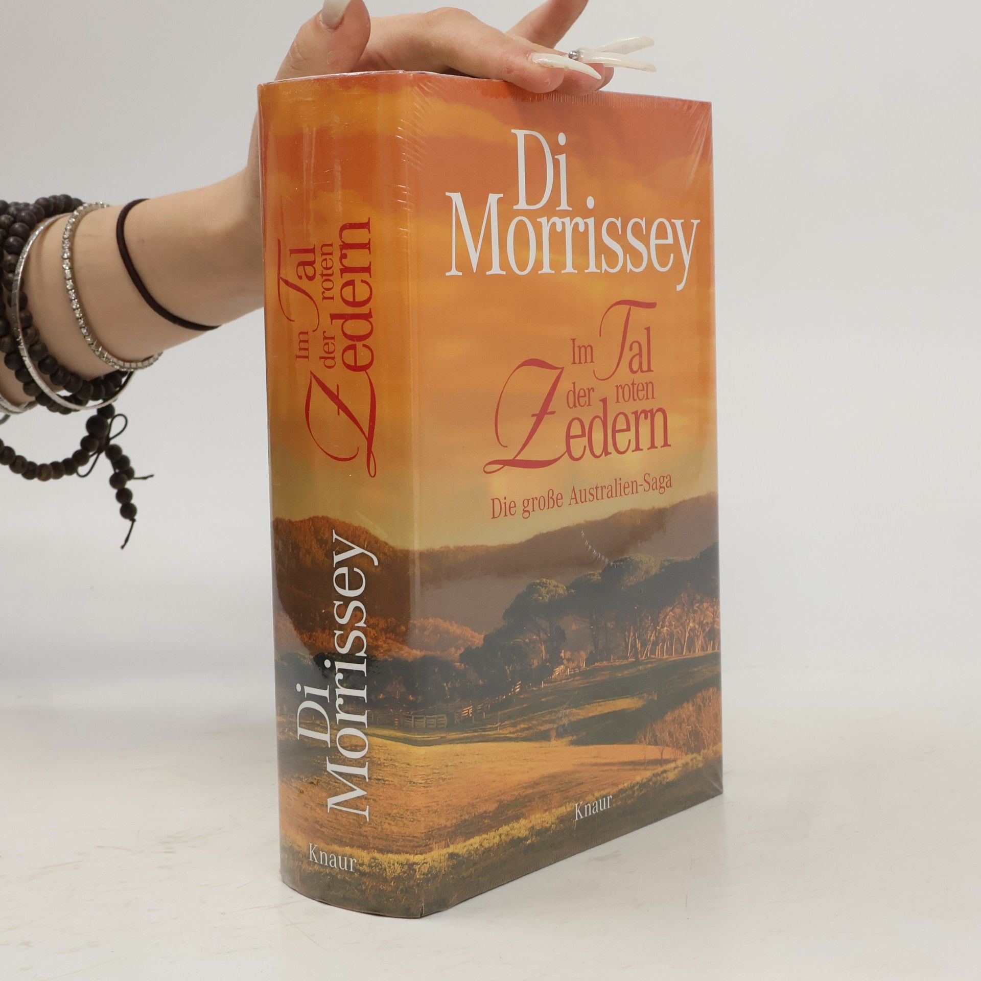 Di Morrissey Im Tal der roten Zedern