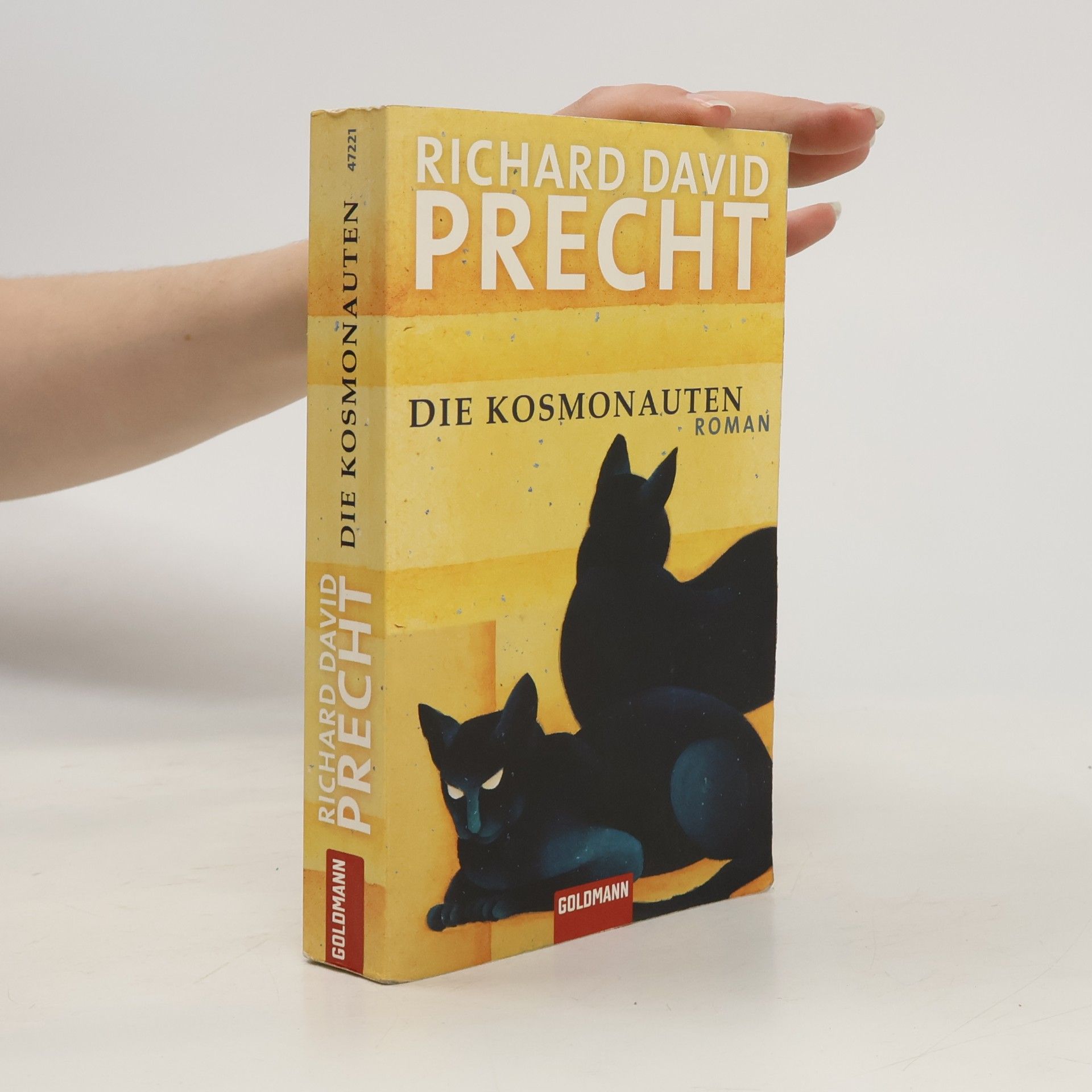 Richard David Precht Die Kosmonauten