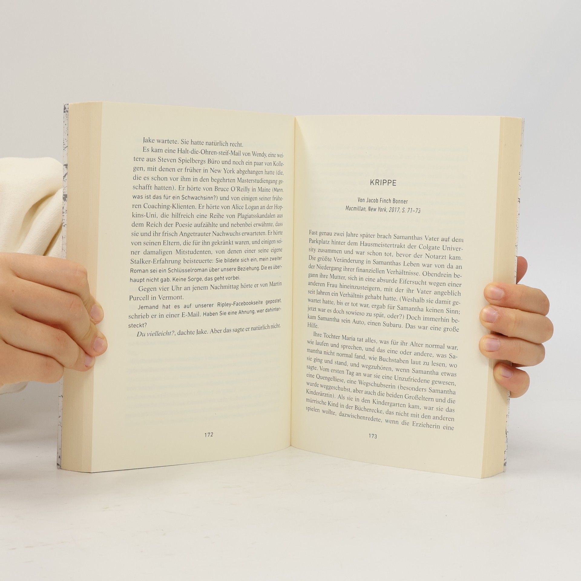 Jean Hanff Korelitz Der Plot