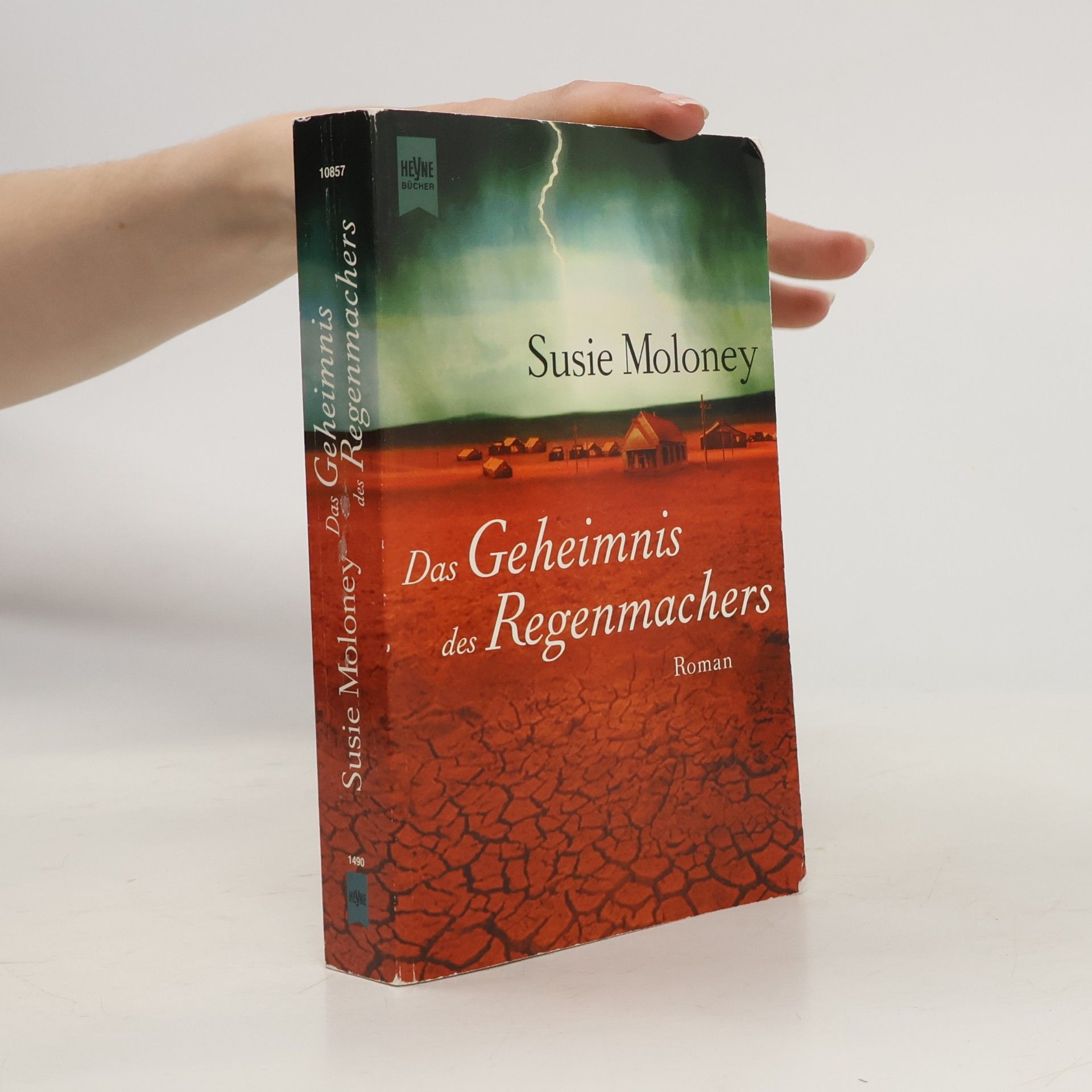 Susie Moloney Das Geheimnis des Regenmachers