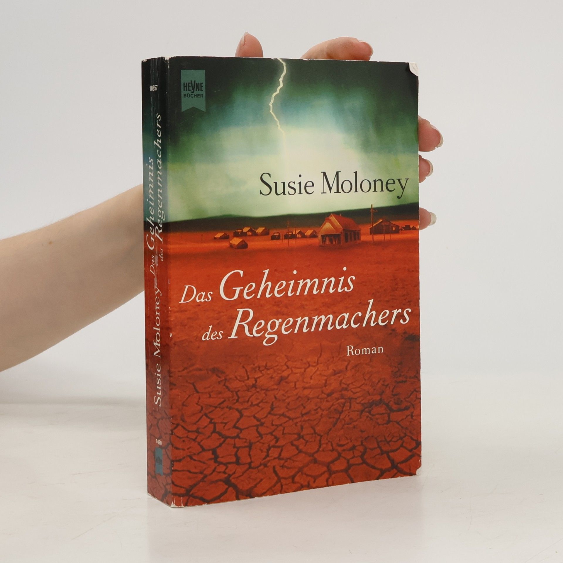 Susie Moloney Das Geheimnis des Regenmachers