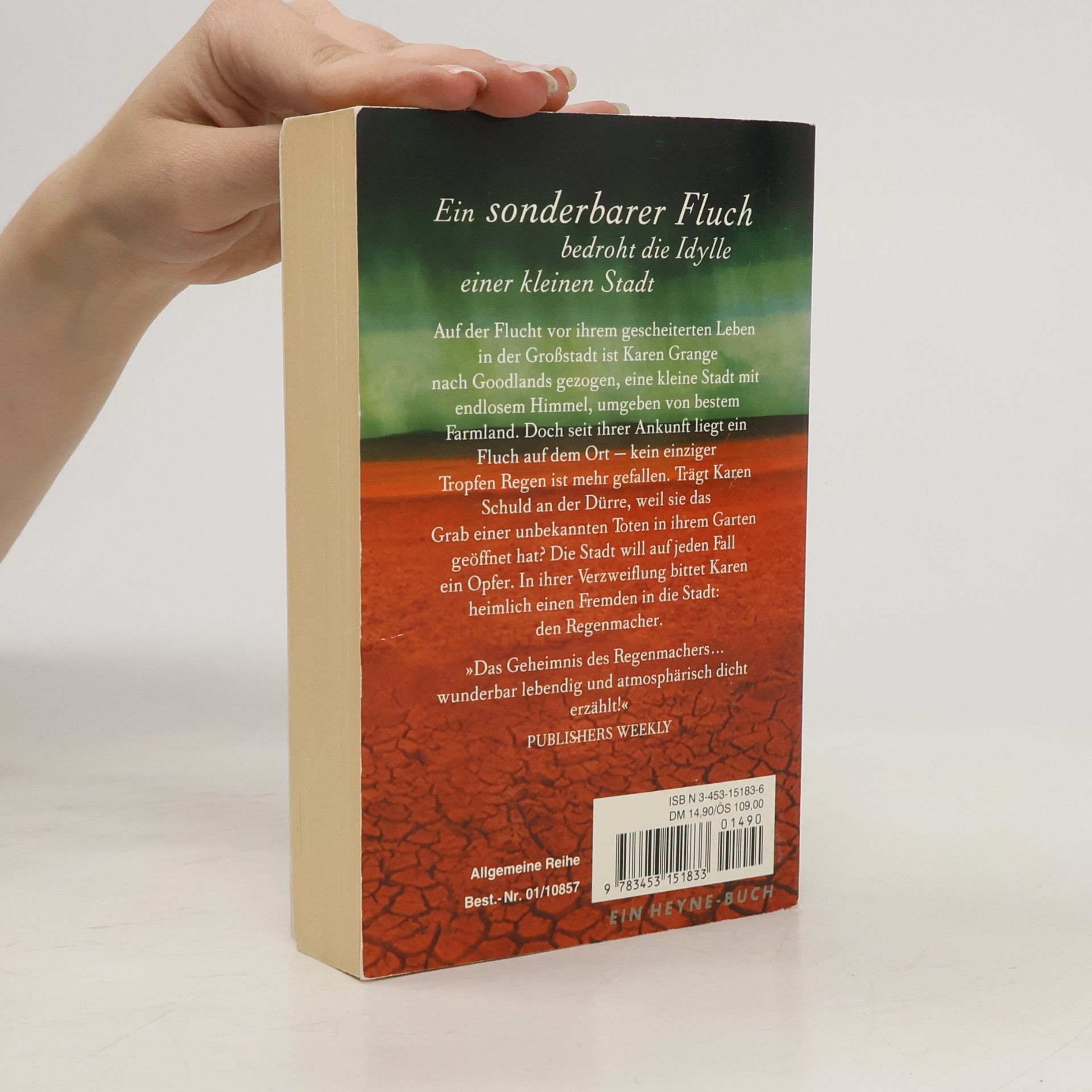 Susie Moloney Das Geheimnis des Regenmachers