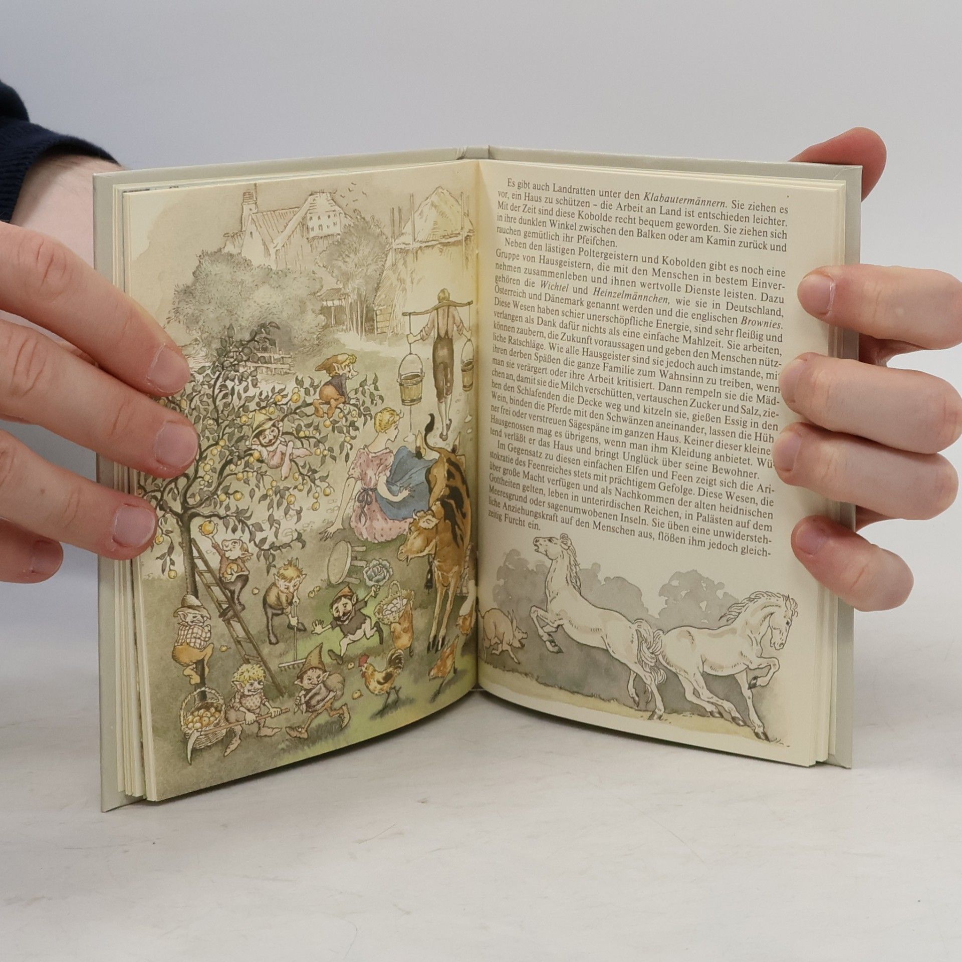 Rita Schnitzer Zauberwelt der Feen und Elfen