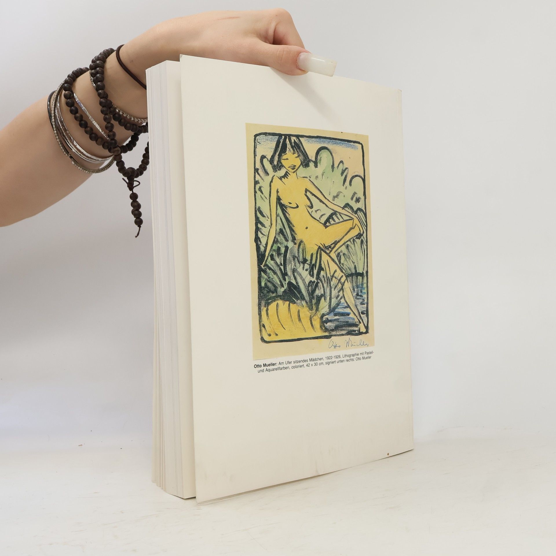 Henri Nannen Die Meisterwerke der Sammlung Henri Nannen