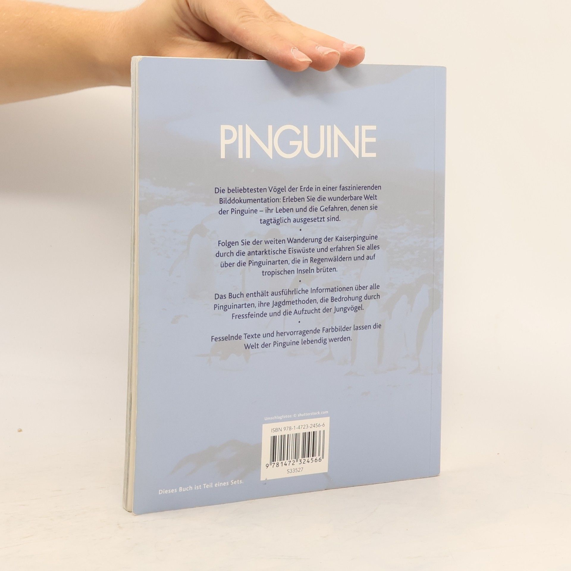 Daniel Gilpin Pinguine