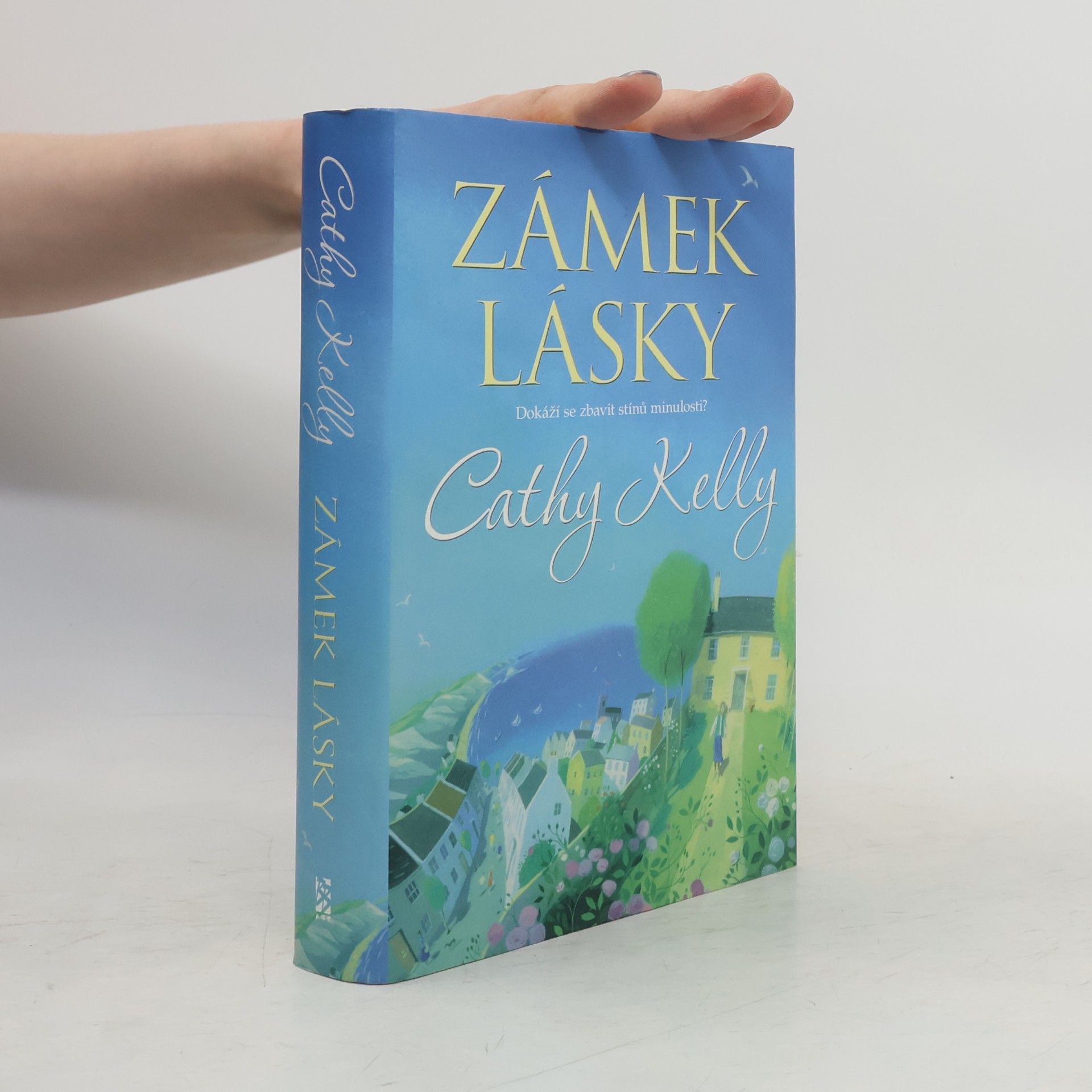 Cathy Kelly Zámek lásky