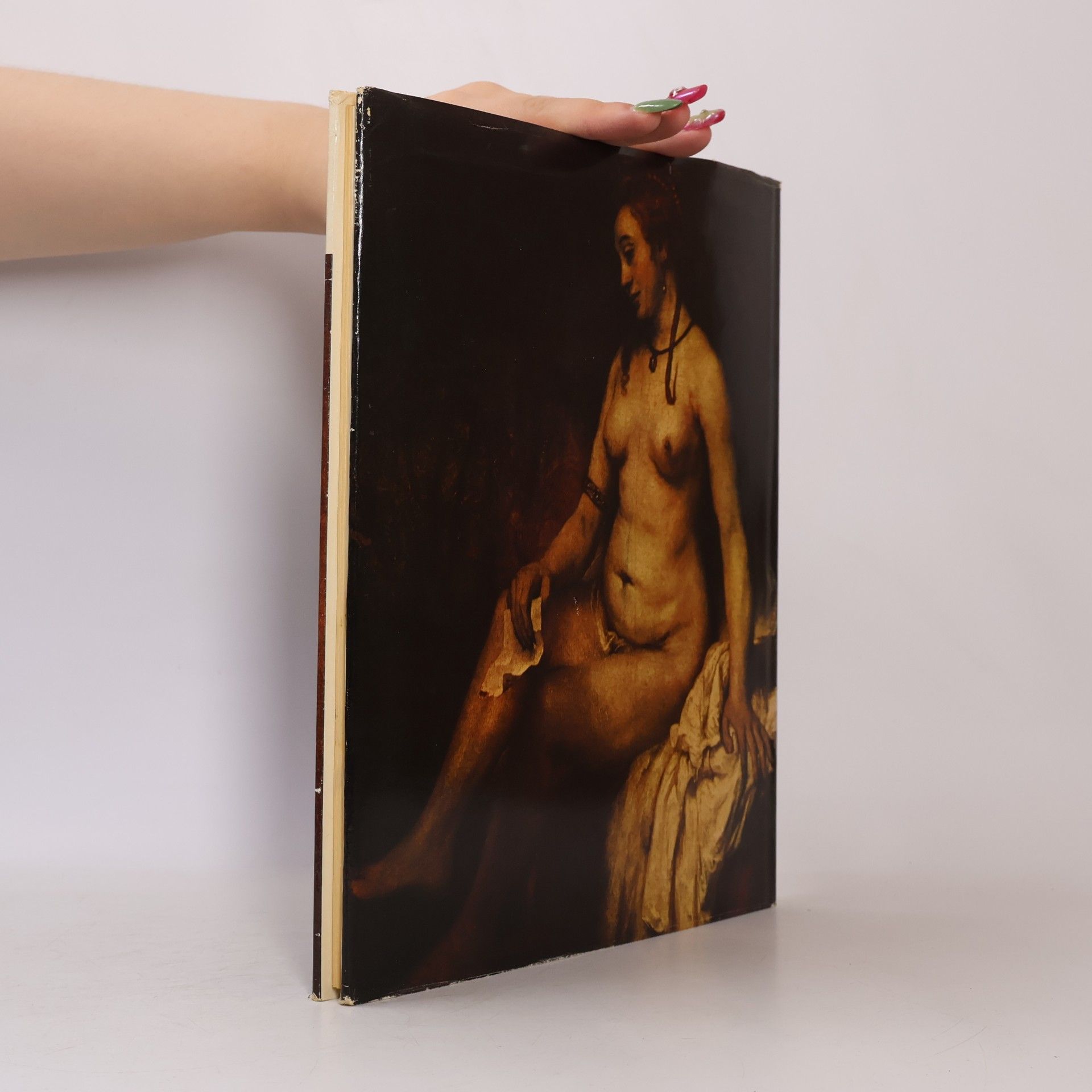 Trewin Copplestone Rembrandt. The Colour Library of Art Paperbacks