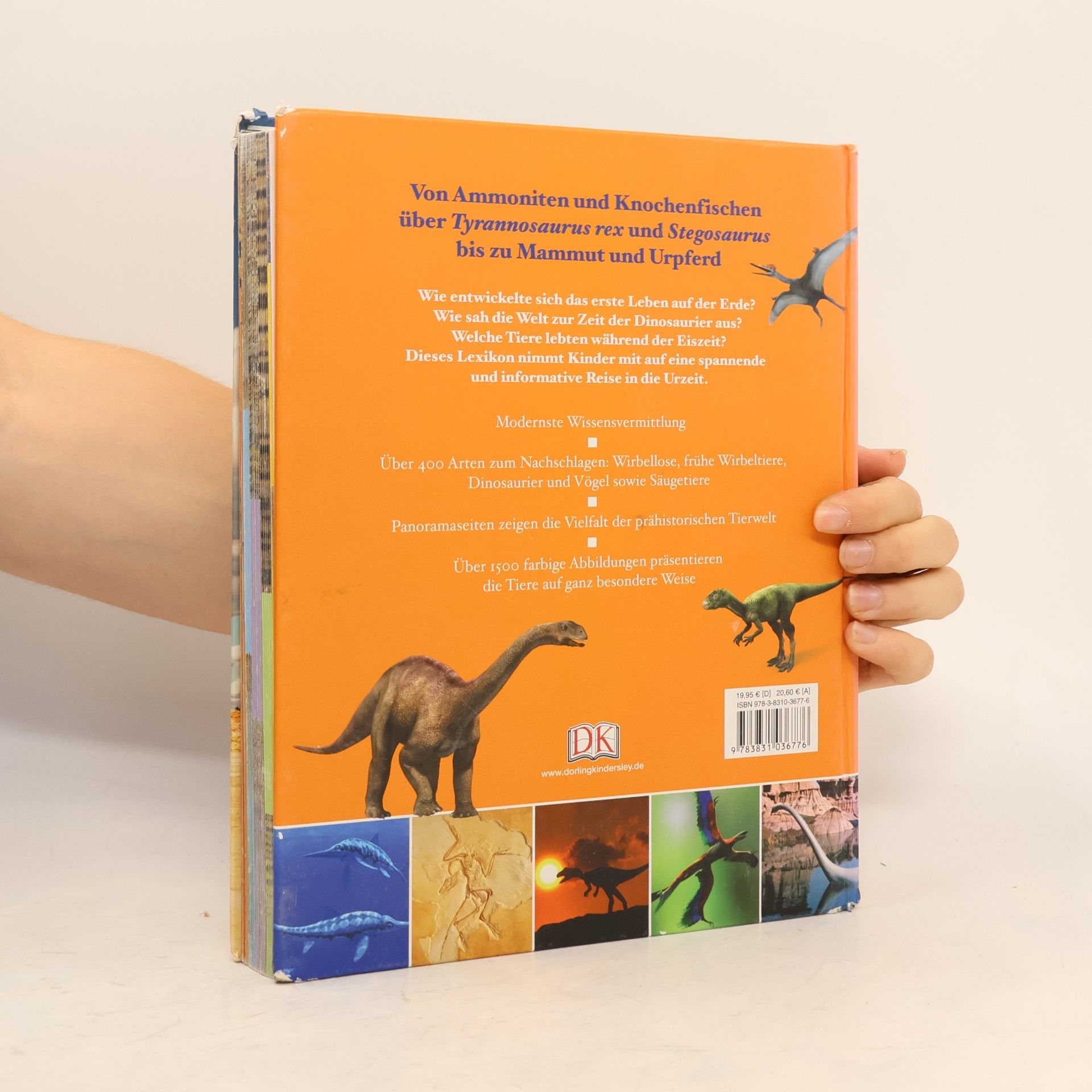 Eva Sixt Dinosaurier und andere Tiere der Urzeit für clevere Kids