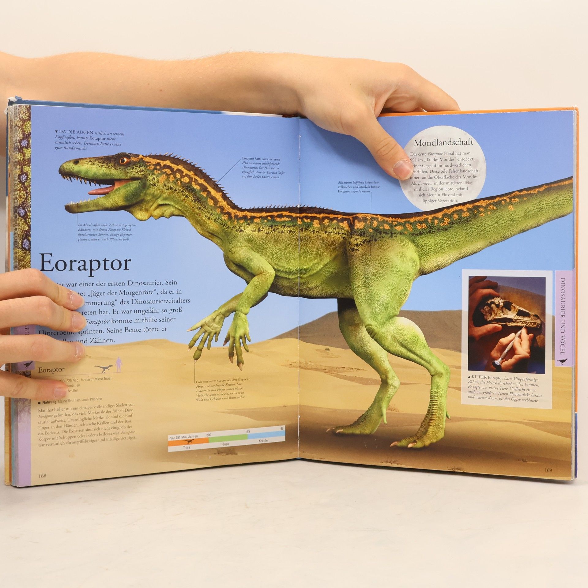 Eva Sixt Dinosaurier und andere Tiere der Urzeit für clevere Kids