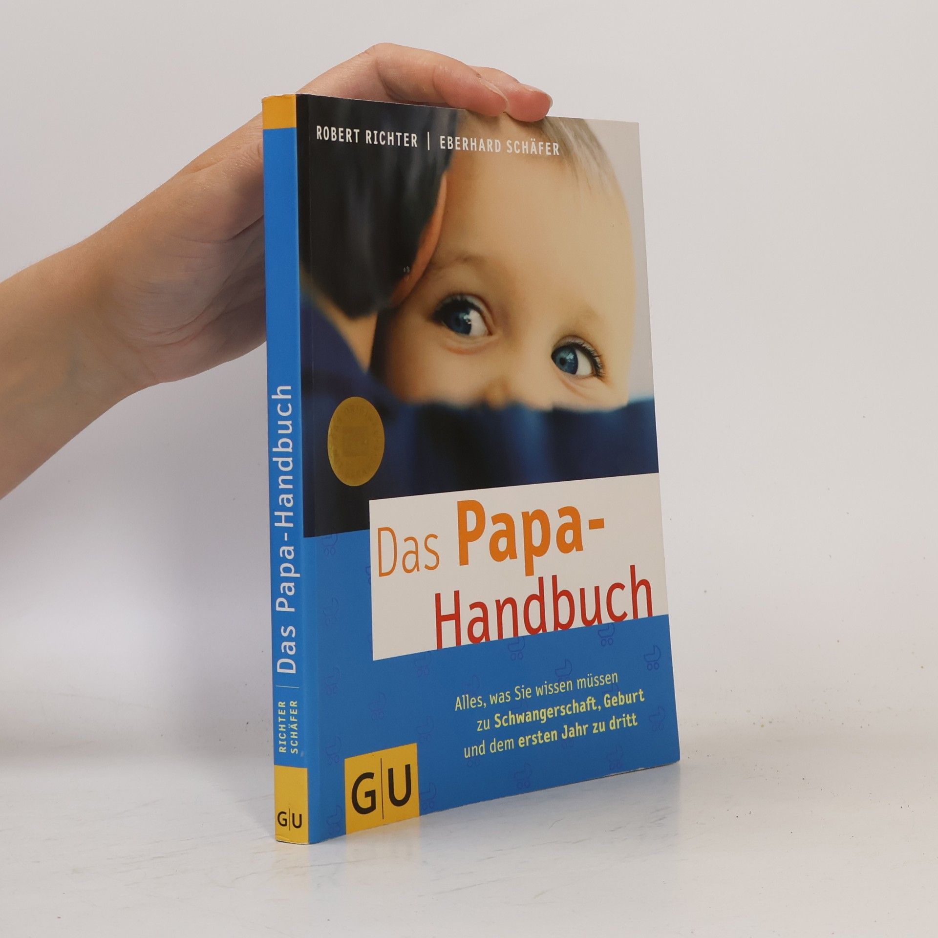 Robert Richter Das Papa-Handbuch