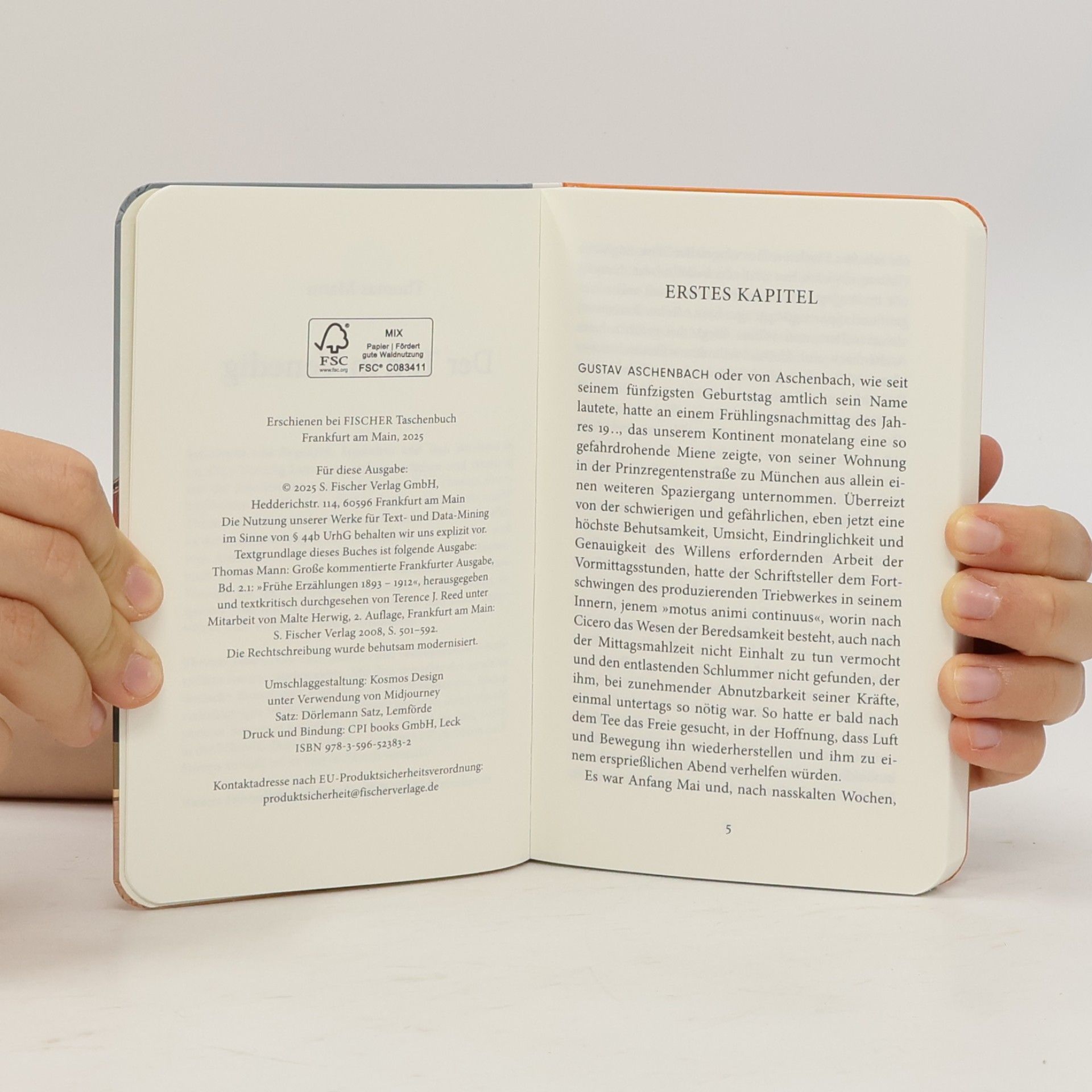 Thomas Mann Fischer Taschenbibliothek - 52383: Der Tod in Venedig