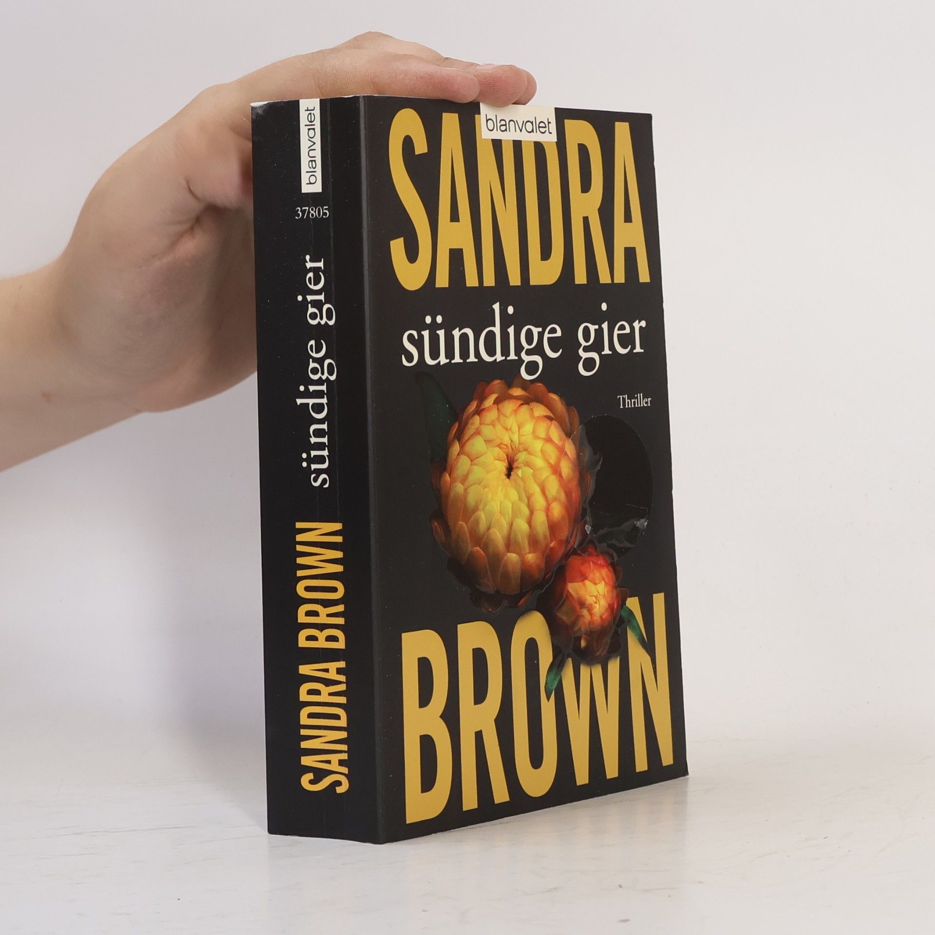 Sandra Brown Sündige Gier