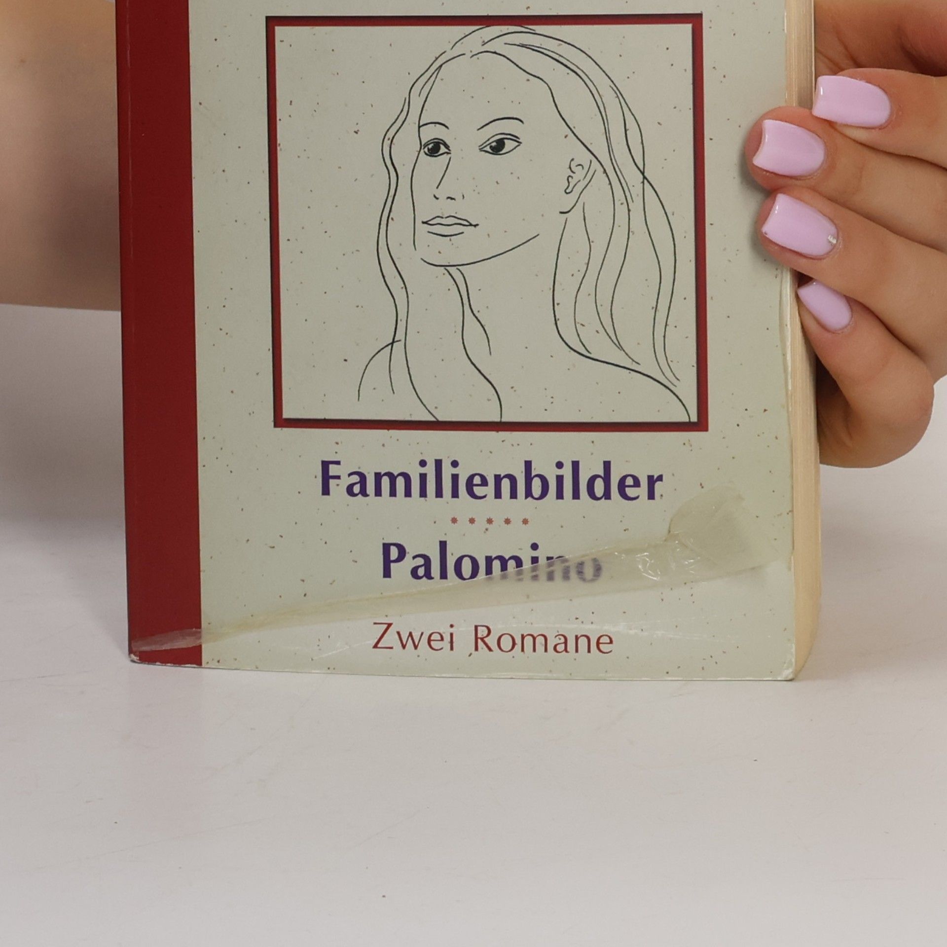 Danielle Steel Familienbilder. Polomino