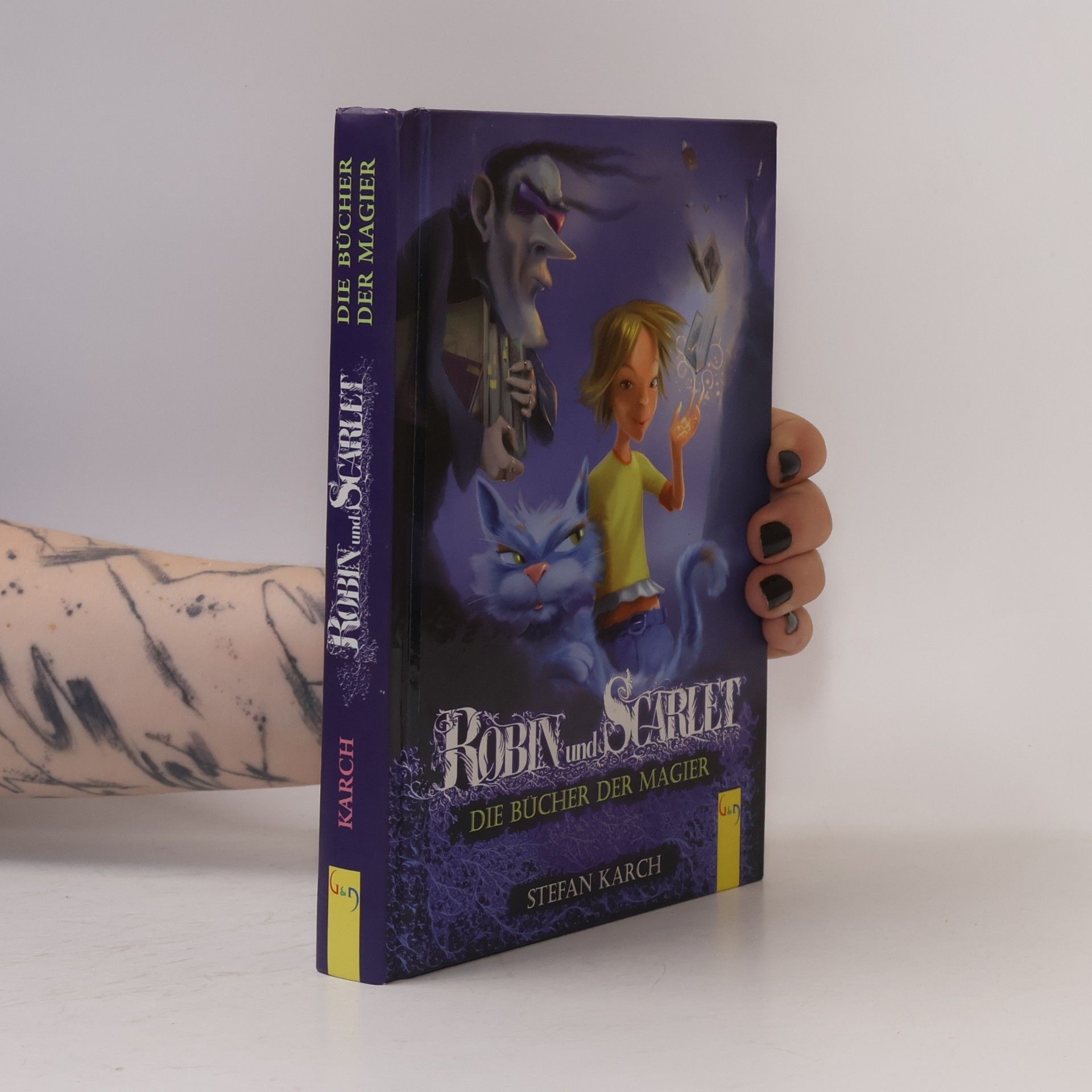Stefan Karch Robin und Scarlet: Die Bücher der Magier