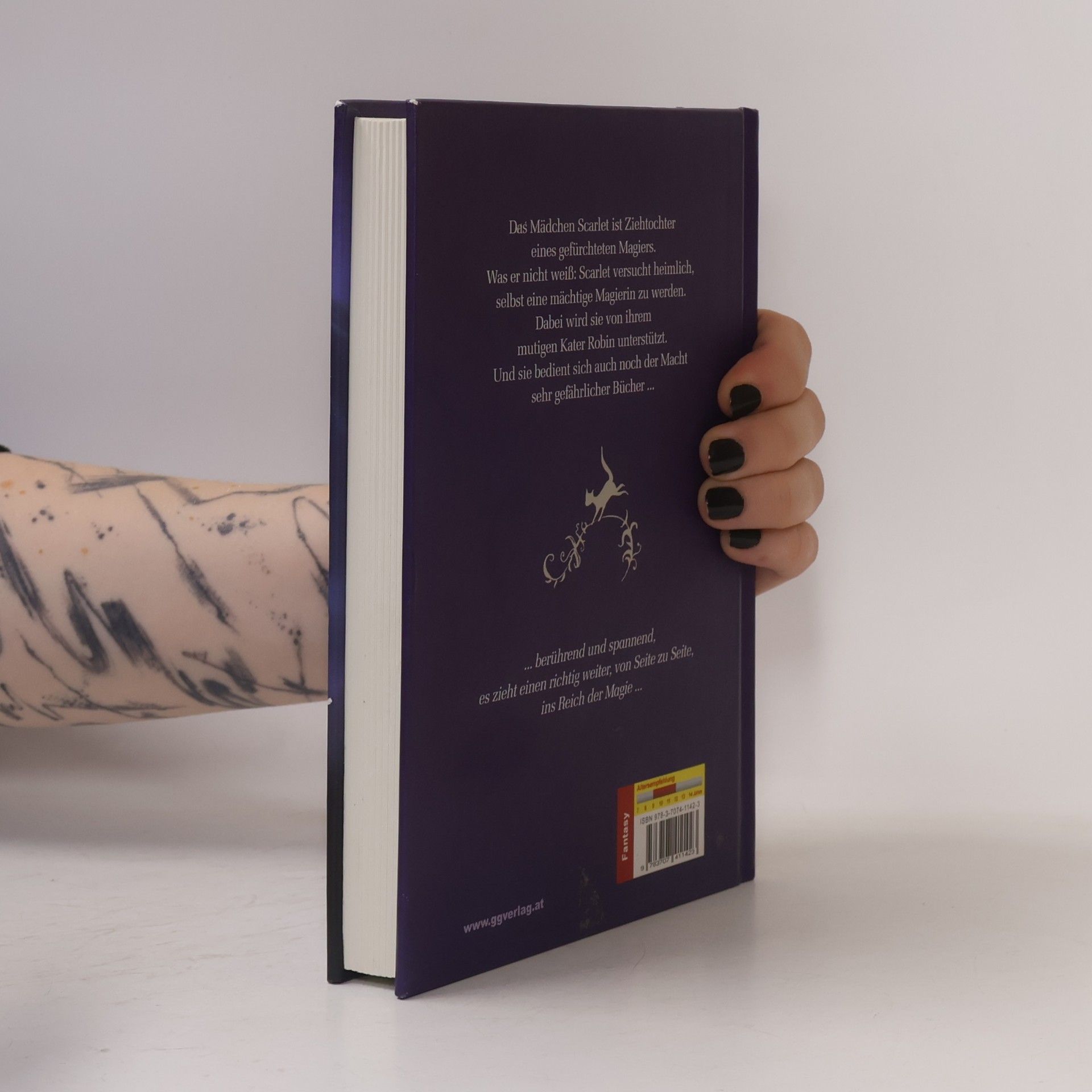 Stefan Karch Robin und Scarlet: Die Bücher der Magier