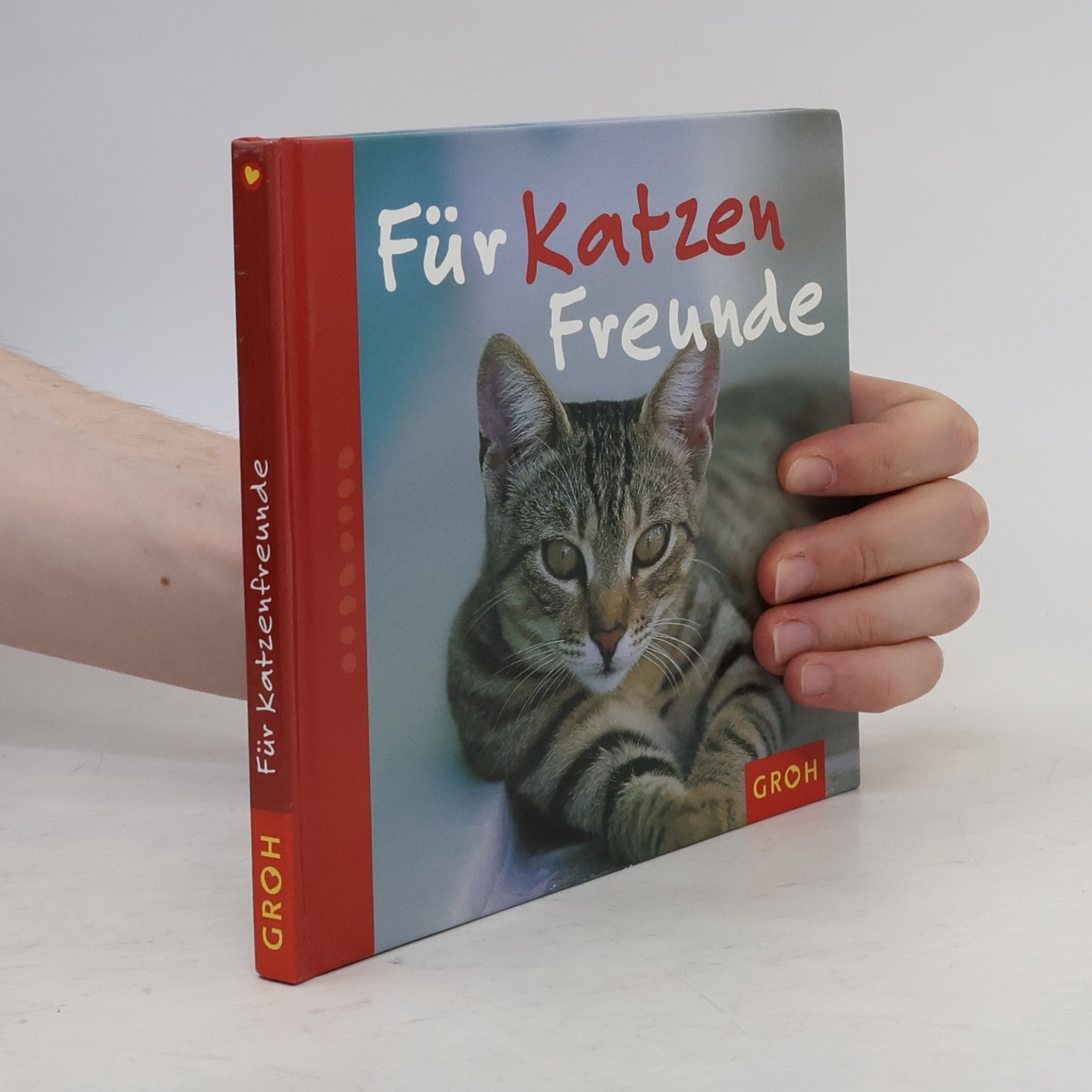 Nina Sandmann Für Katzenfreunde