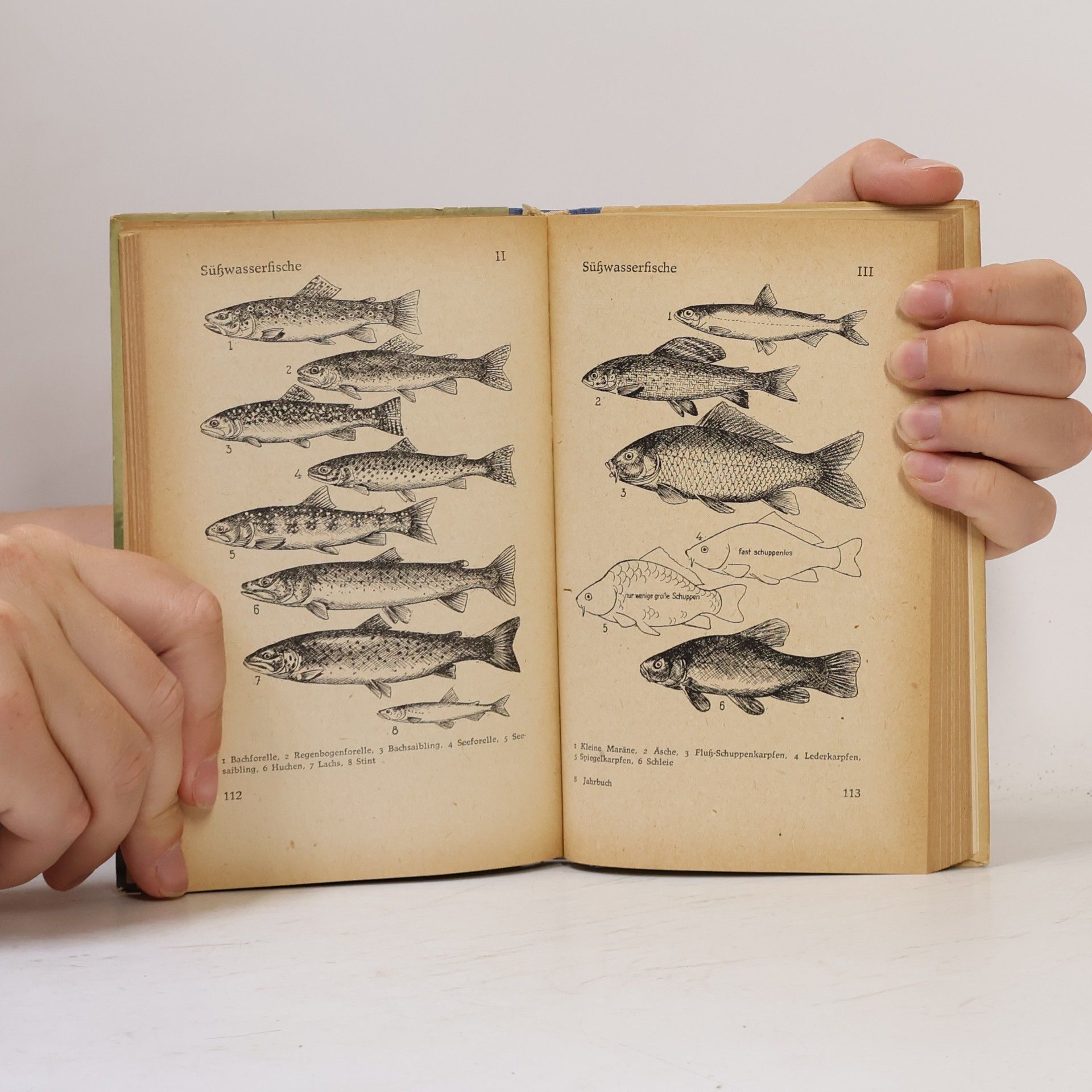 Various authors Jahrbuch des Sportanglers 1964