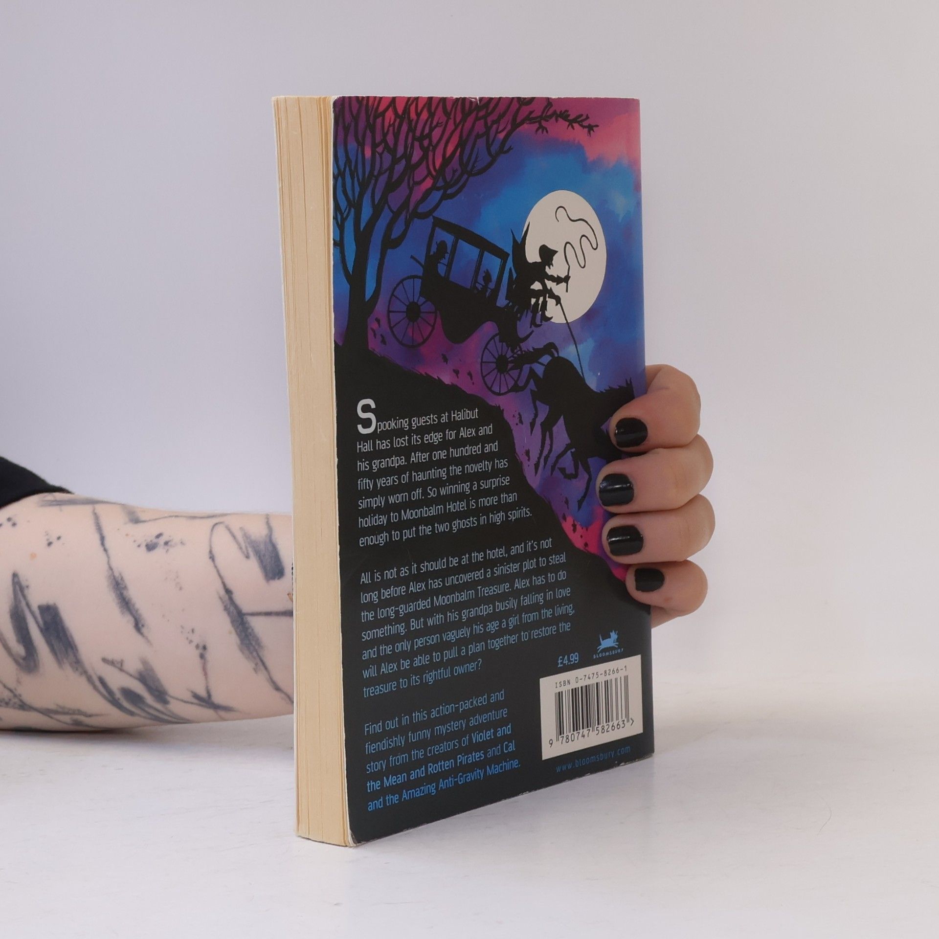 Richard Hamilton Ghostboy and the Moonbalm Treasure
