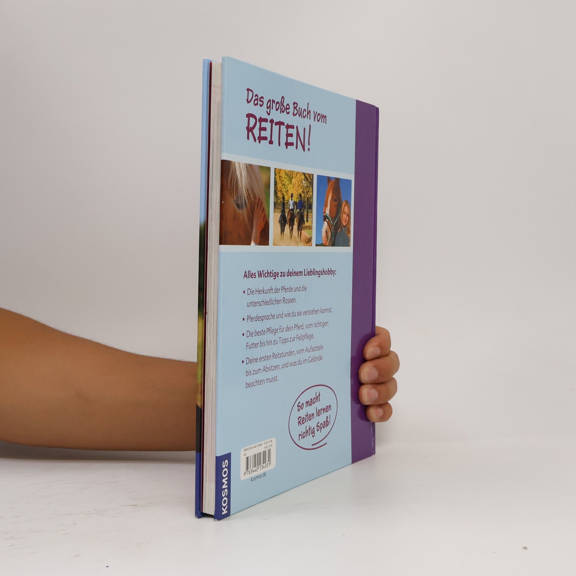 Angelika Schmid Das große Buch vom Reiten!