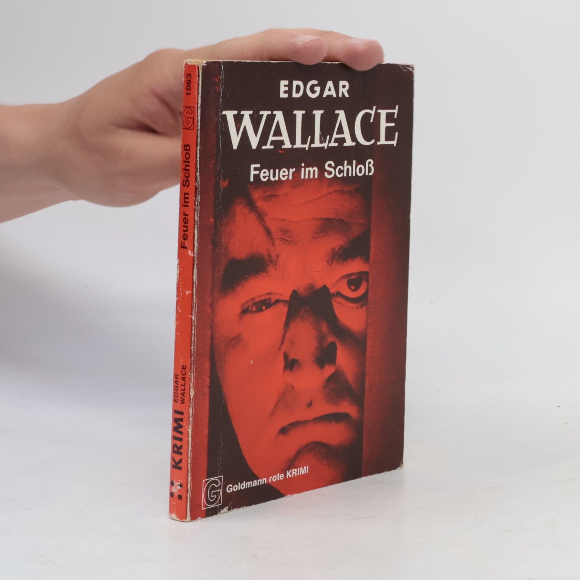 Edgar Wallace Feuer im Schloss