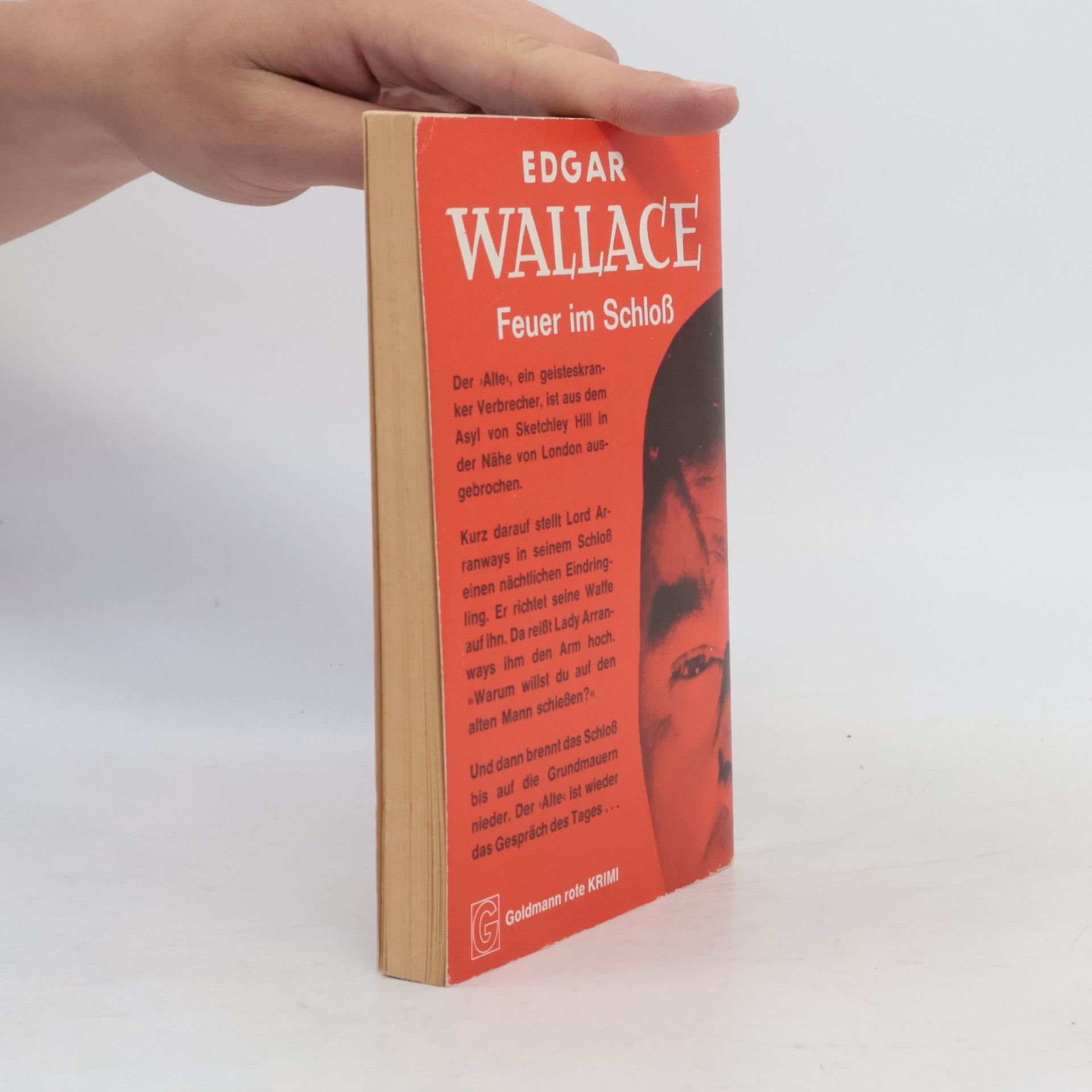 Edgar Wallace Feuer im Schloss