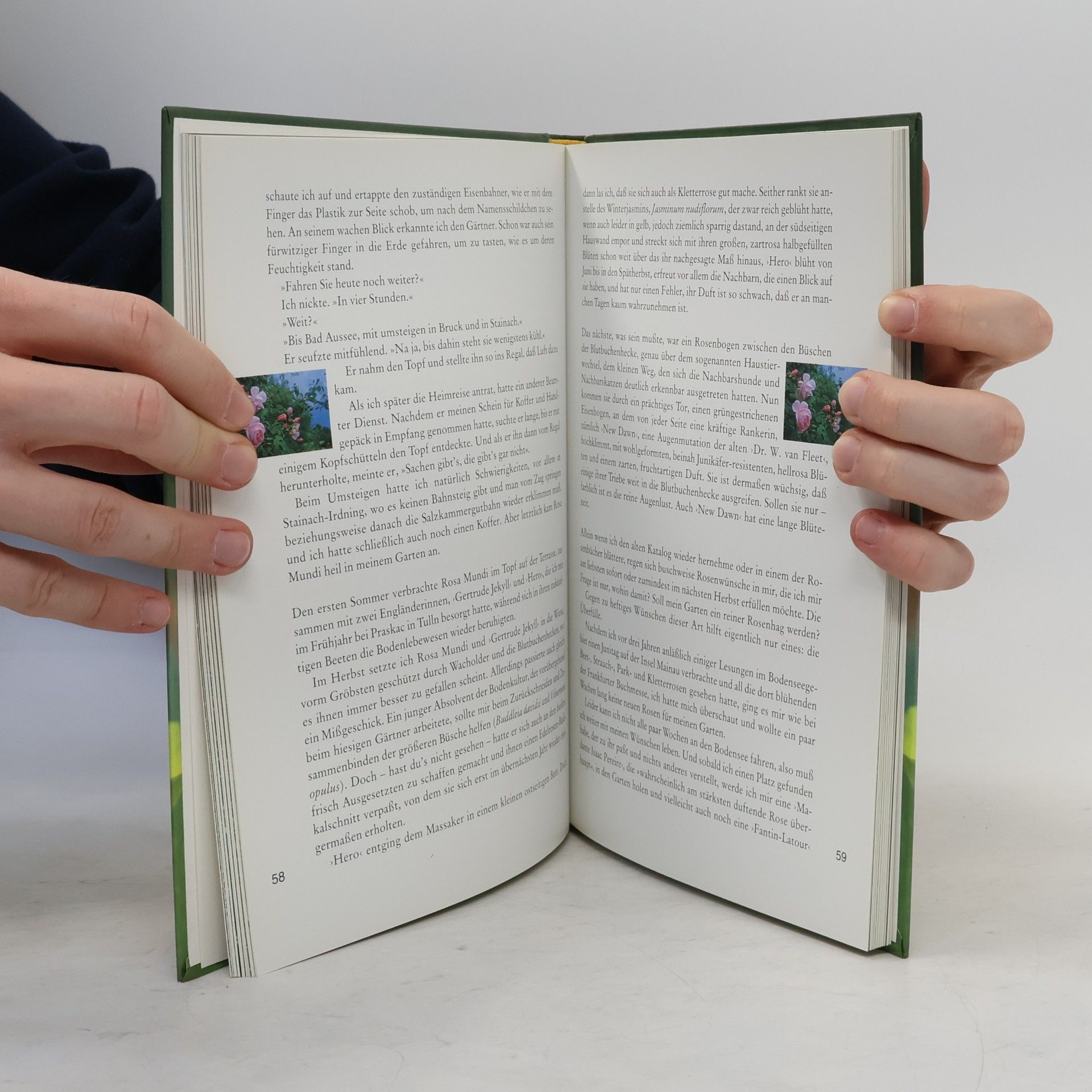 Barbara Frischmuth Fingerkraut und Feenhandschuh