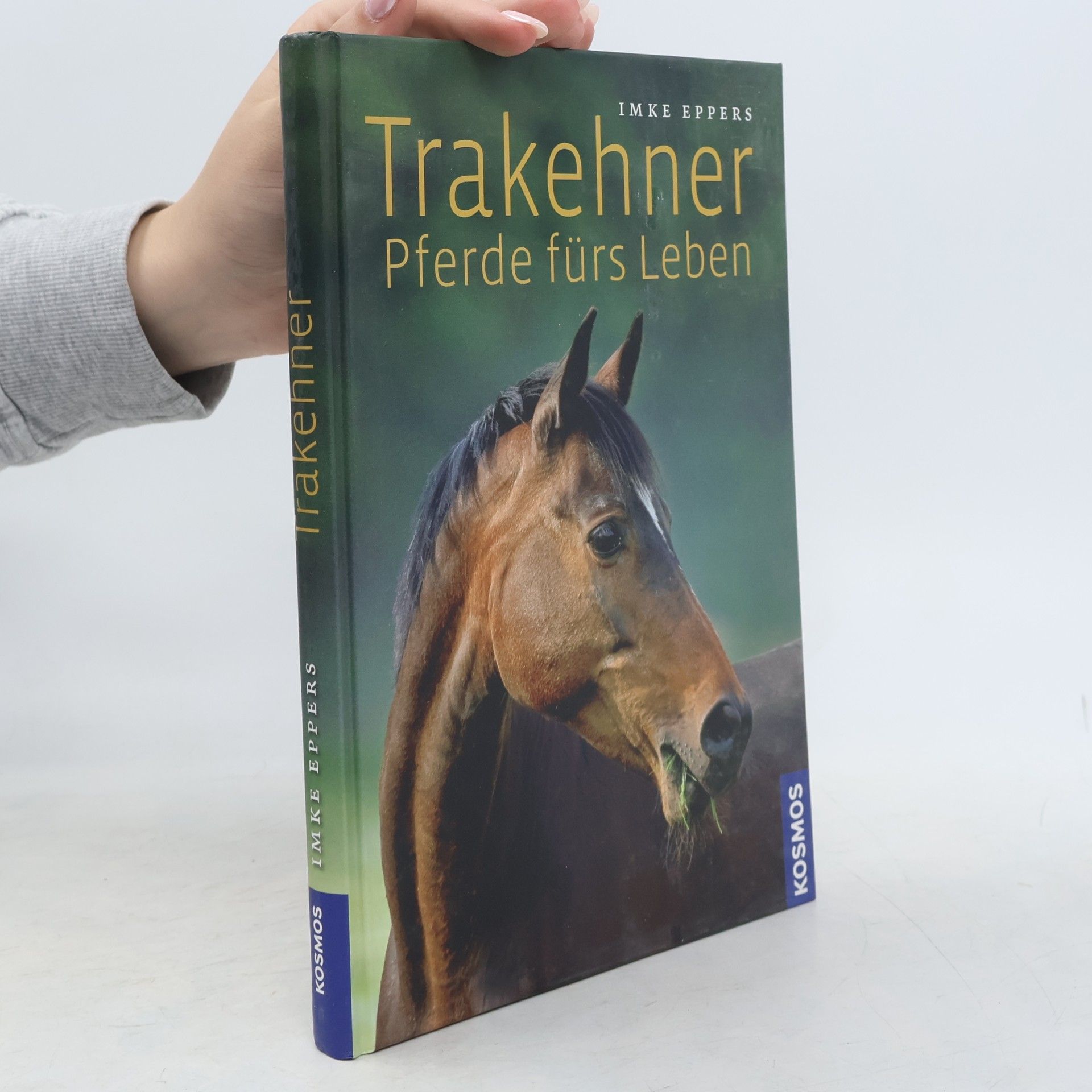 Imke Eppers Trakehner