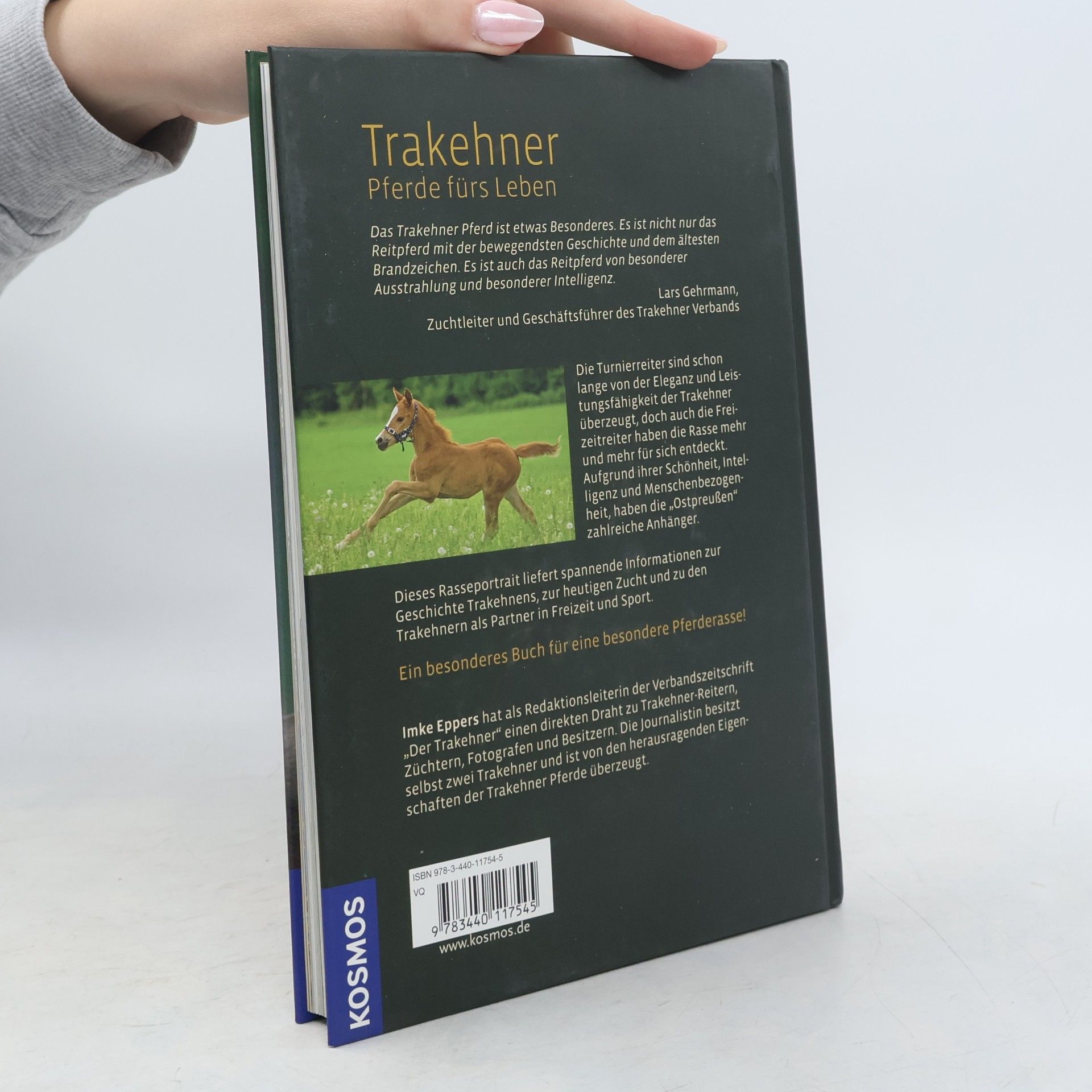 Imke Eppers Trakehner