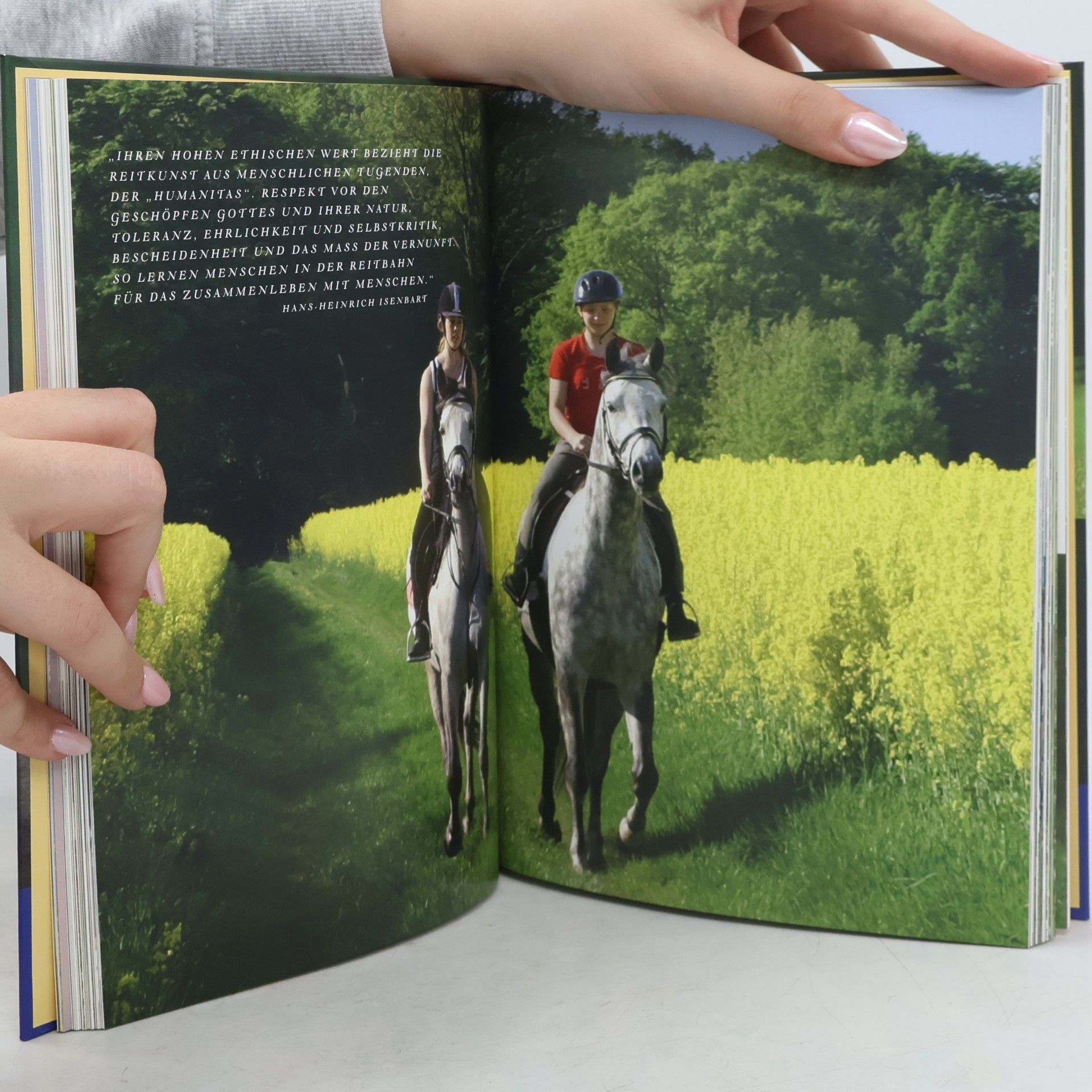 Imke Eppers Trakehner