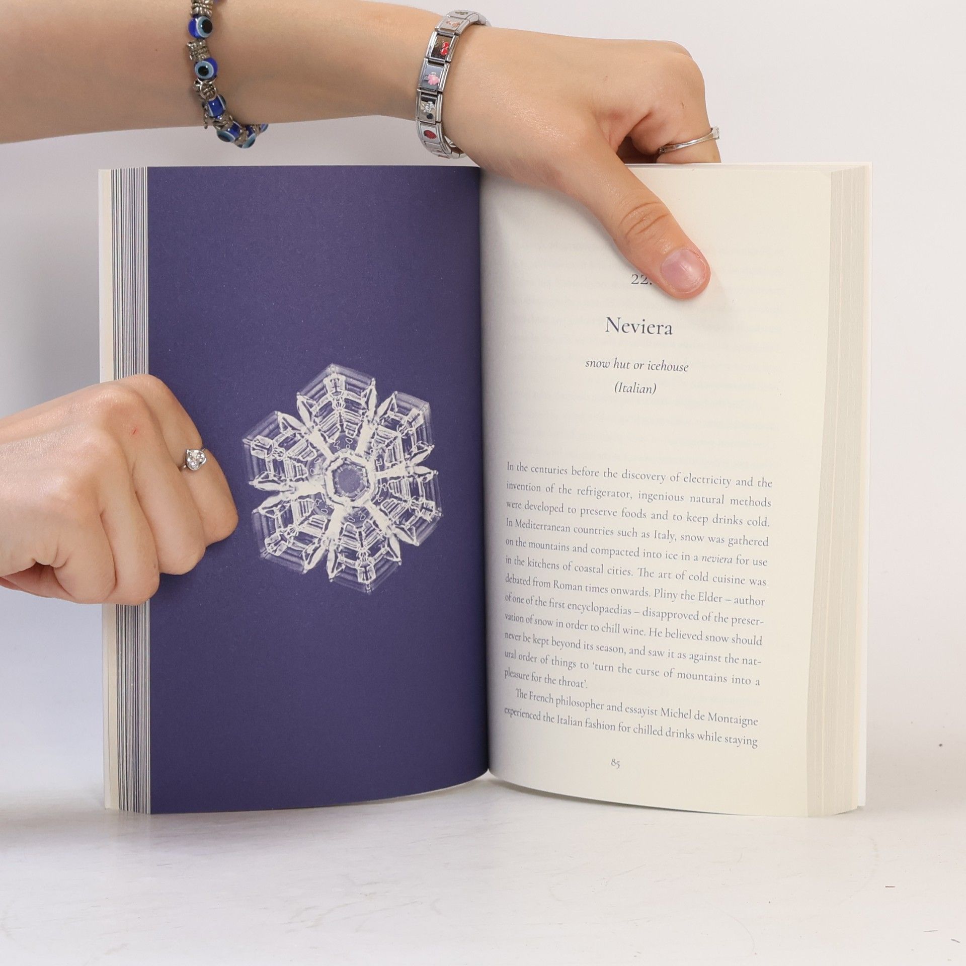Nancy Campbell Fifty Words for Snow