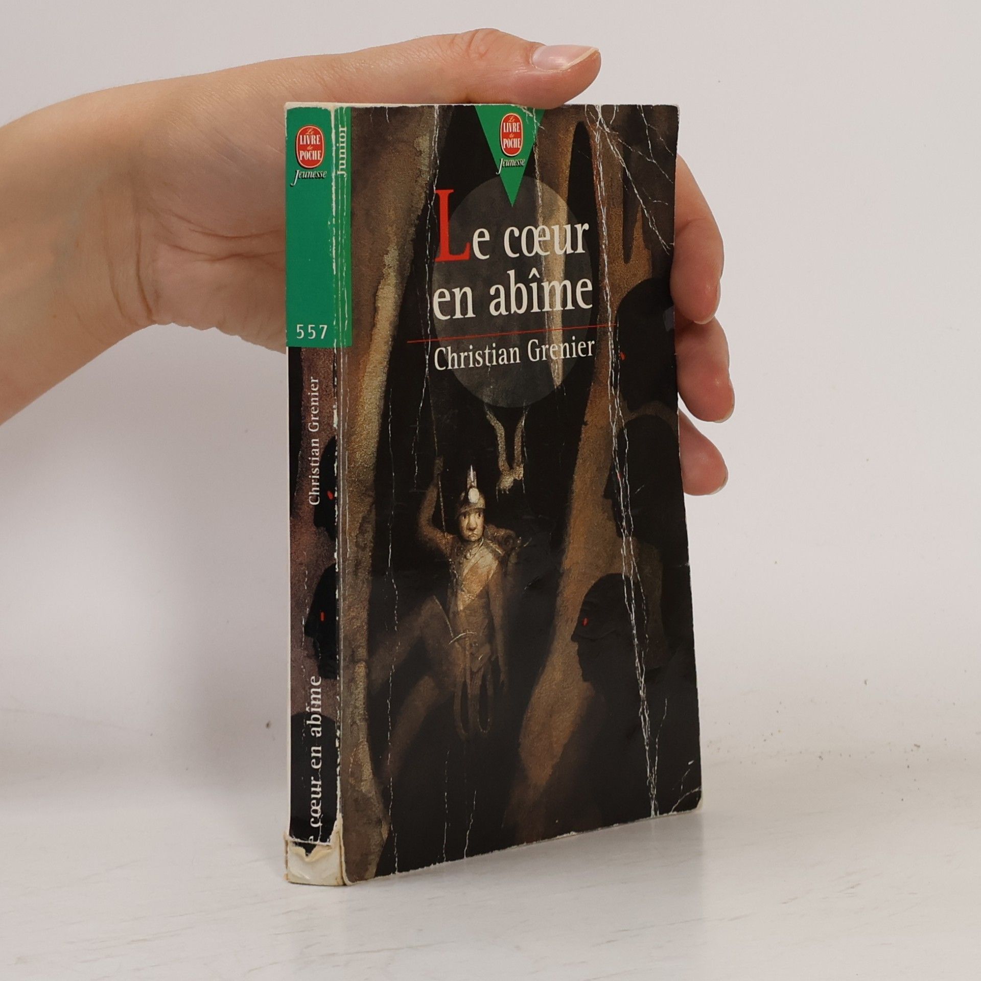 Livre de Poche Jeunesse - 557: Le Cœur en Abîme