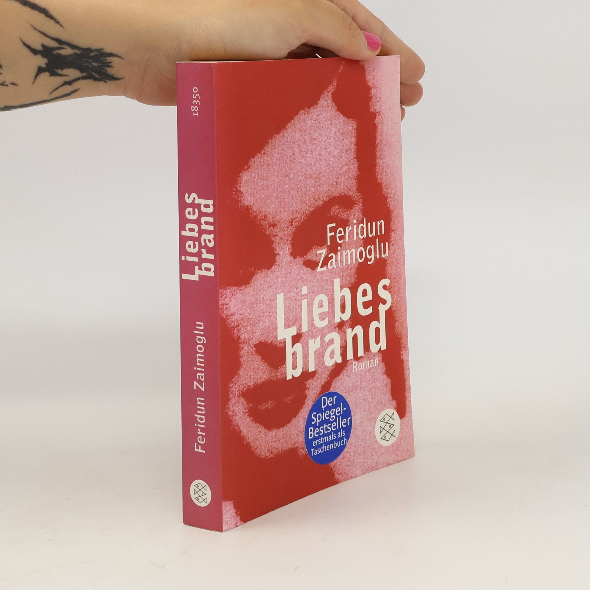 Feridun Zaimoglu Liebesbrand