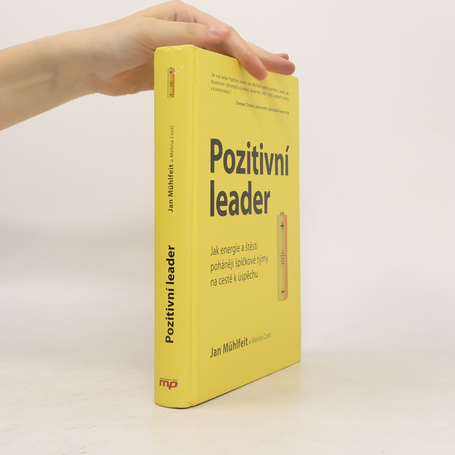 Jan Mühlfeit Pozitivní leader