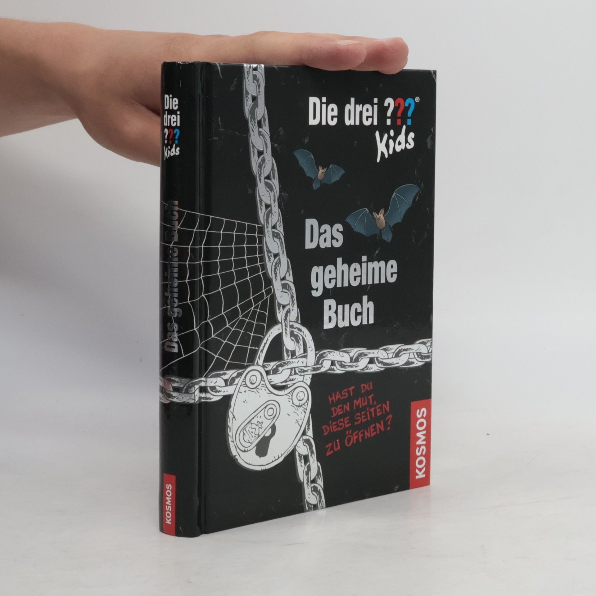 Ulf Blanck Das Geheime Buch