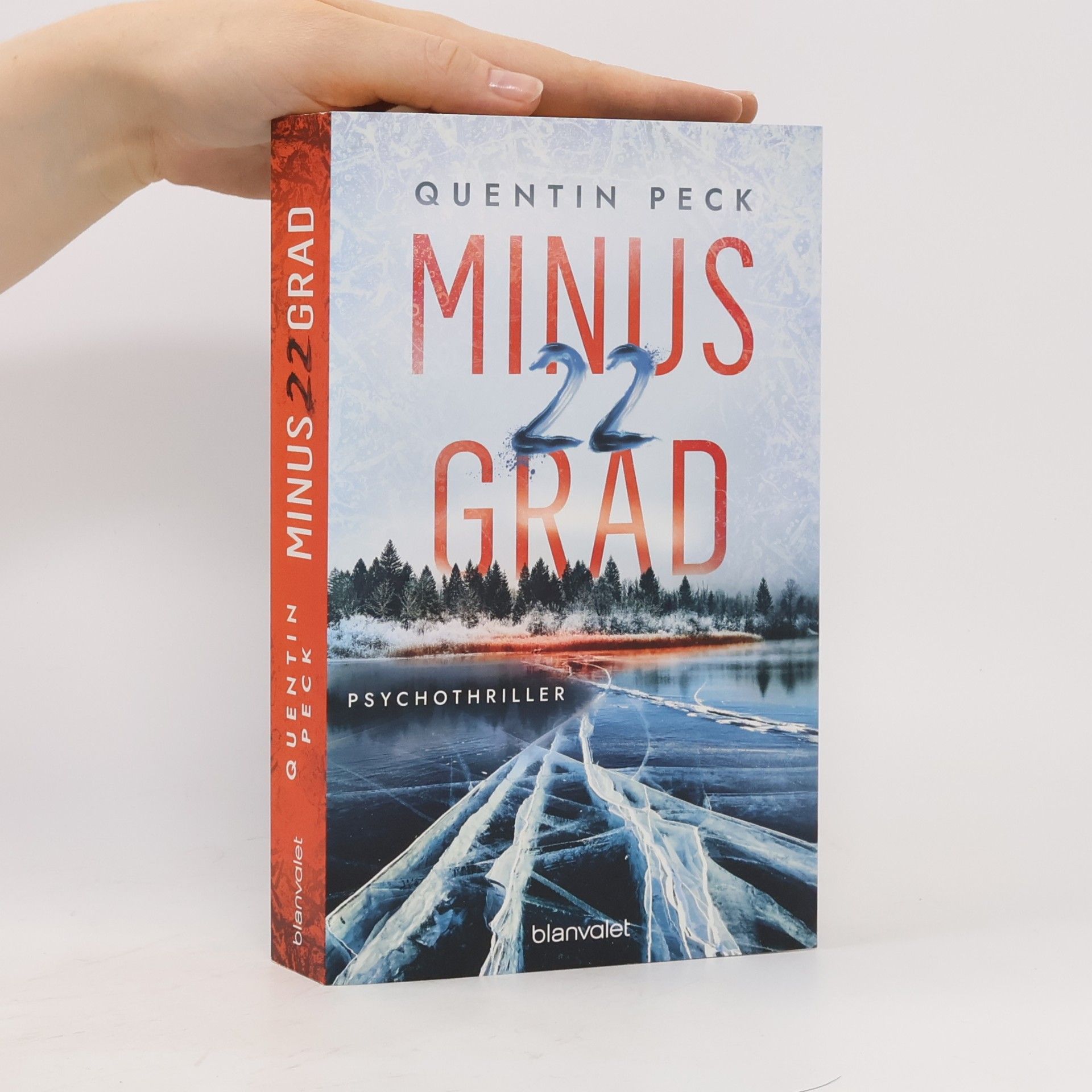 Quentin Peck Minus 22 Grad. Psychothriller