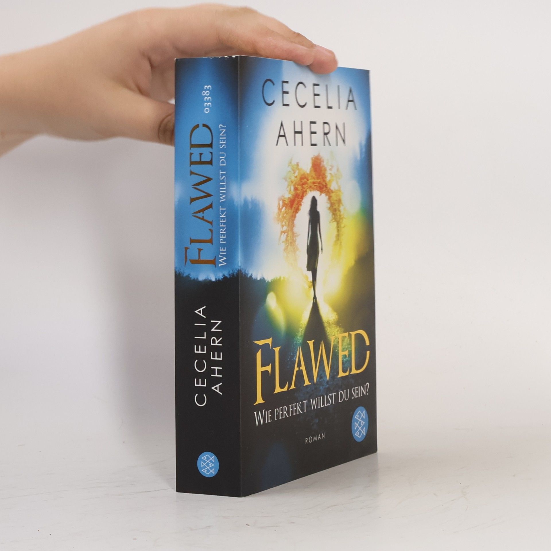 Cecelia Ahern Flawed - wie perfekt willst du sein?