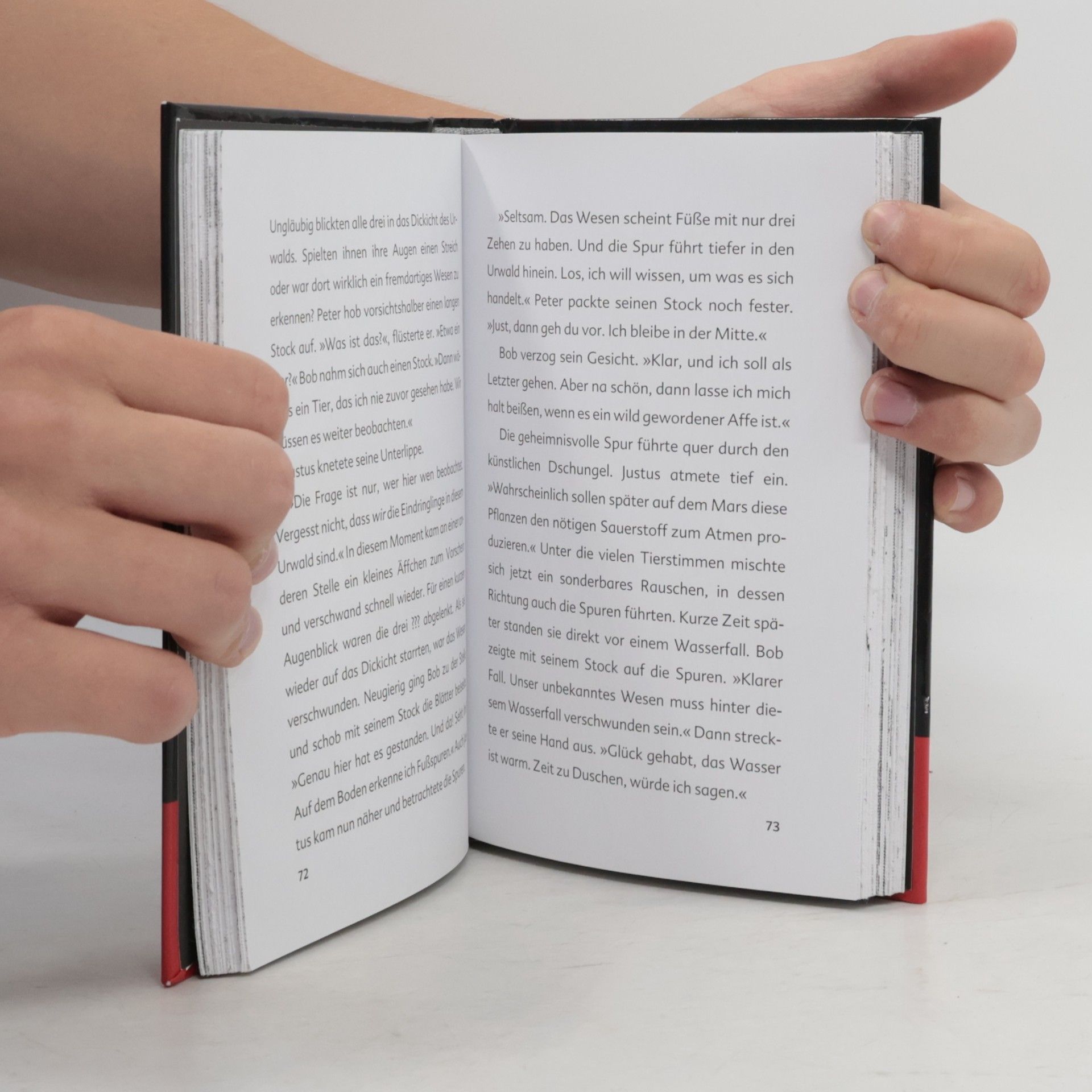 Ulf Blanck Das außerirdische Buch